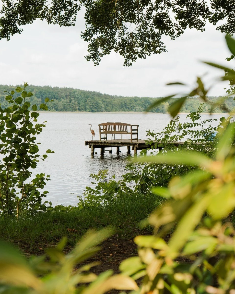 Ein Steg mit einer Bank und einem Storch steht am Ufer eines Sees, umgeben von Grünpflanzen, mit einer bewölkten Himmel und einem bewaldeten Hügel im Hintergrund.