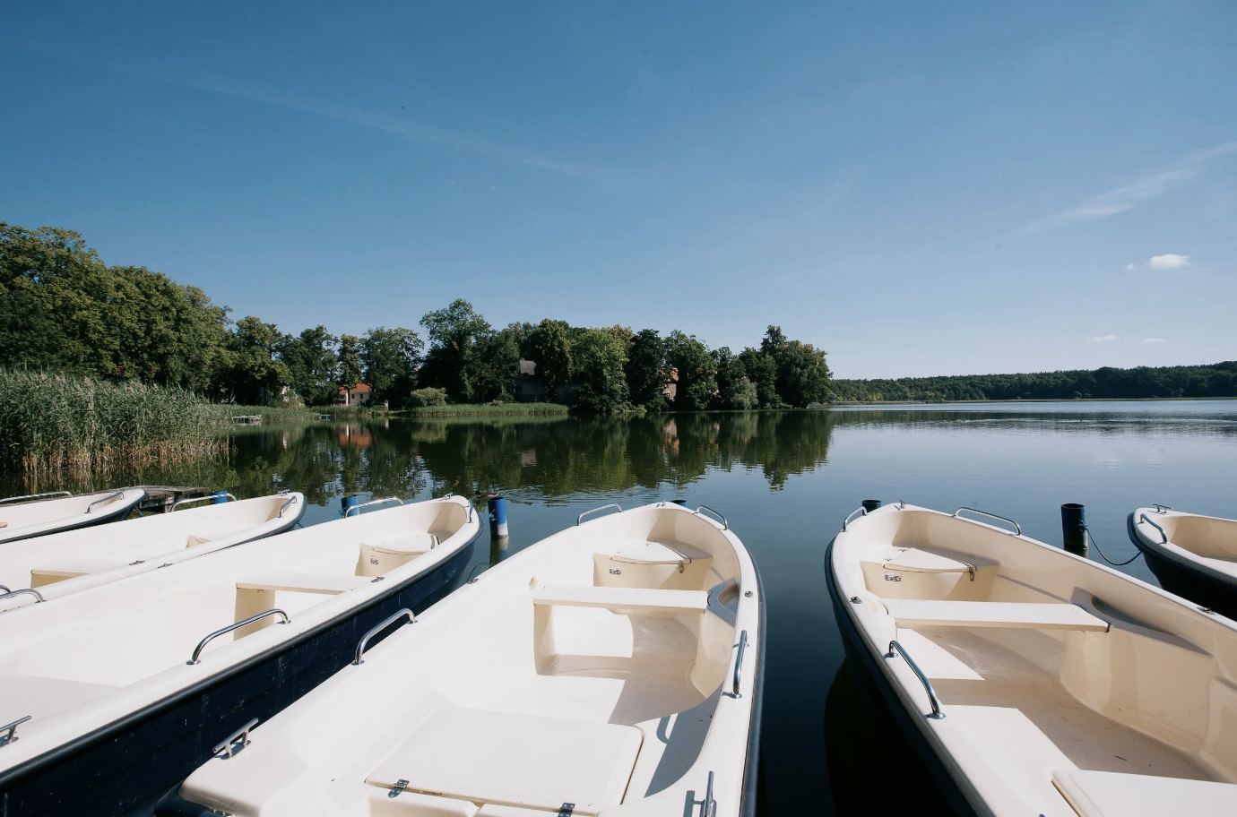 Mehrere weiße Boote am ruhigen See bei Sonnenschein, Wald im Hintergrund.