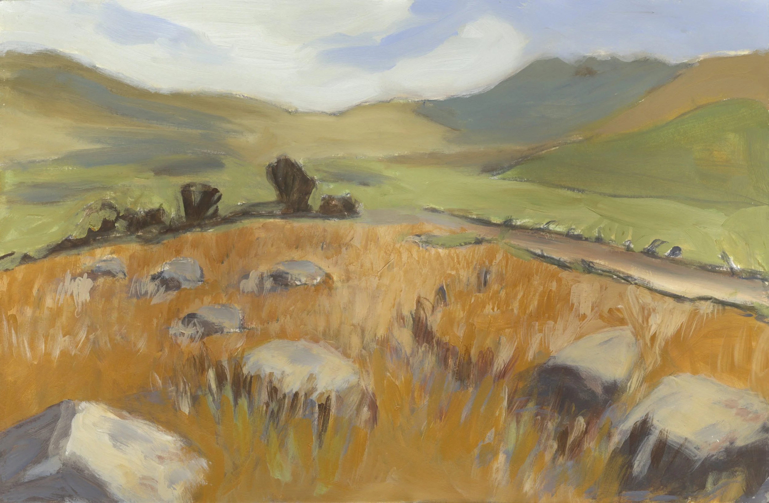 Spring Morning, Preseli Hills

Acrylic on Paper 

Float mounted White Frame

68×49×4cm 

£395