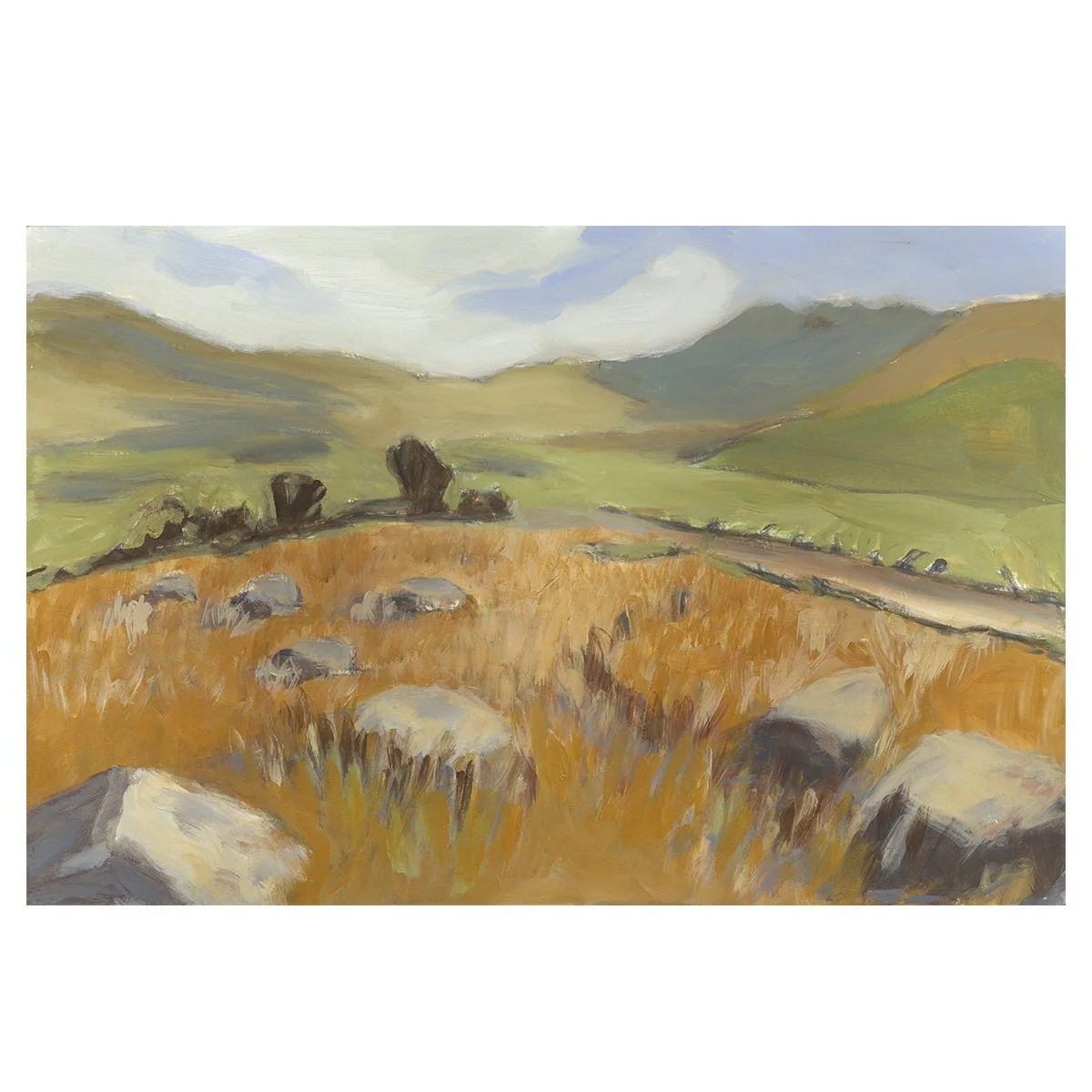 Spring Morning, Preseli Hills - Limited Edition Print 2.jpeg