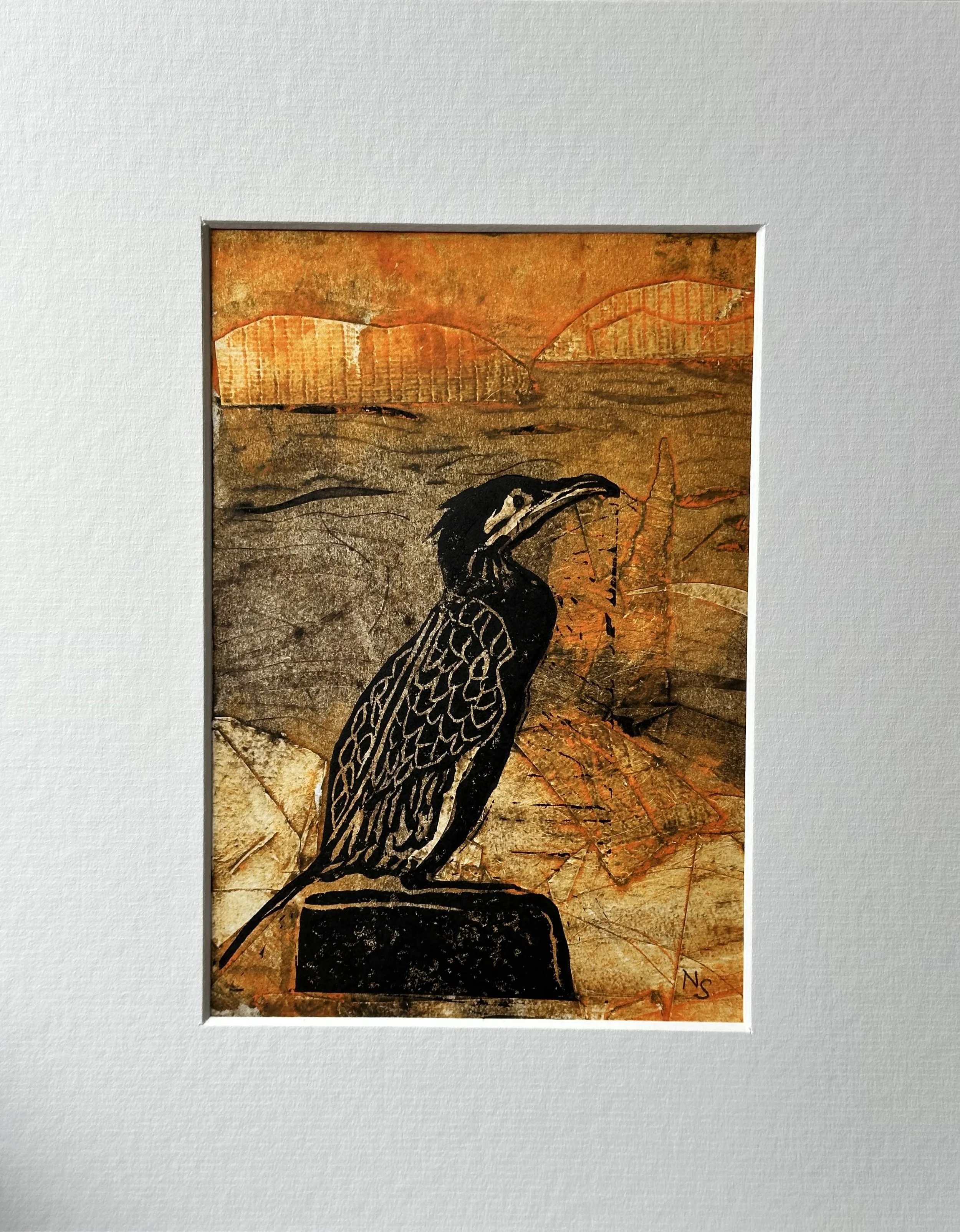Cormorant Contemplation IV