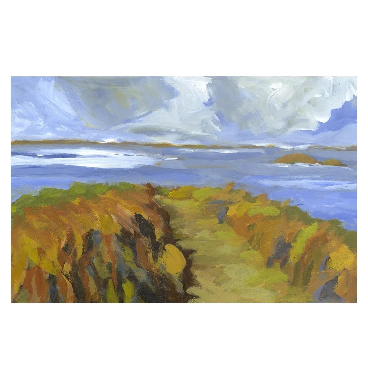 Out on the Headland, near Solva 2.jpeg