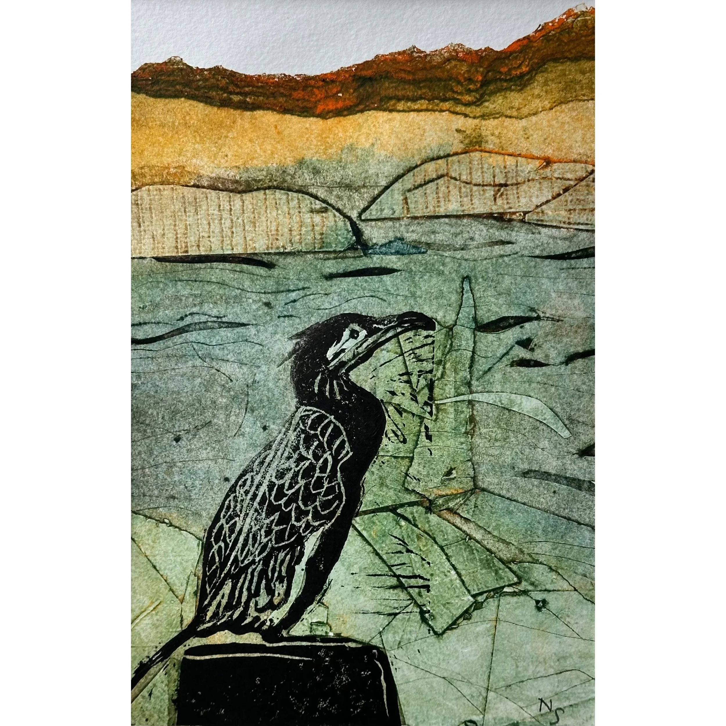 Cormorant Contemplation II