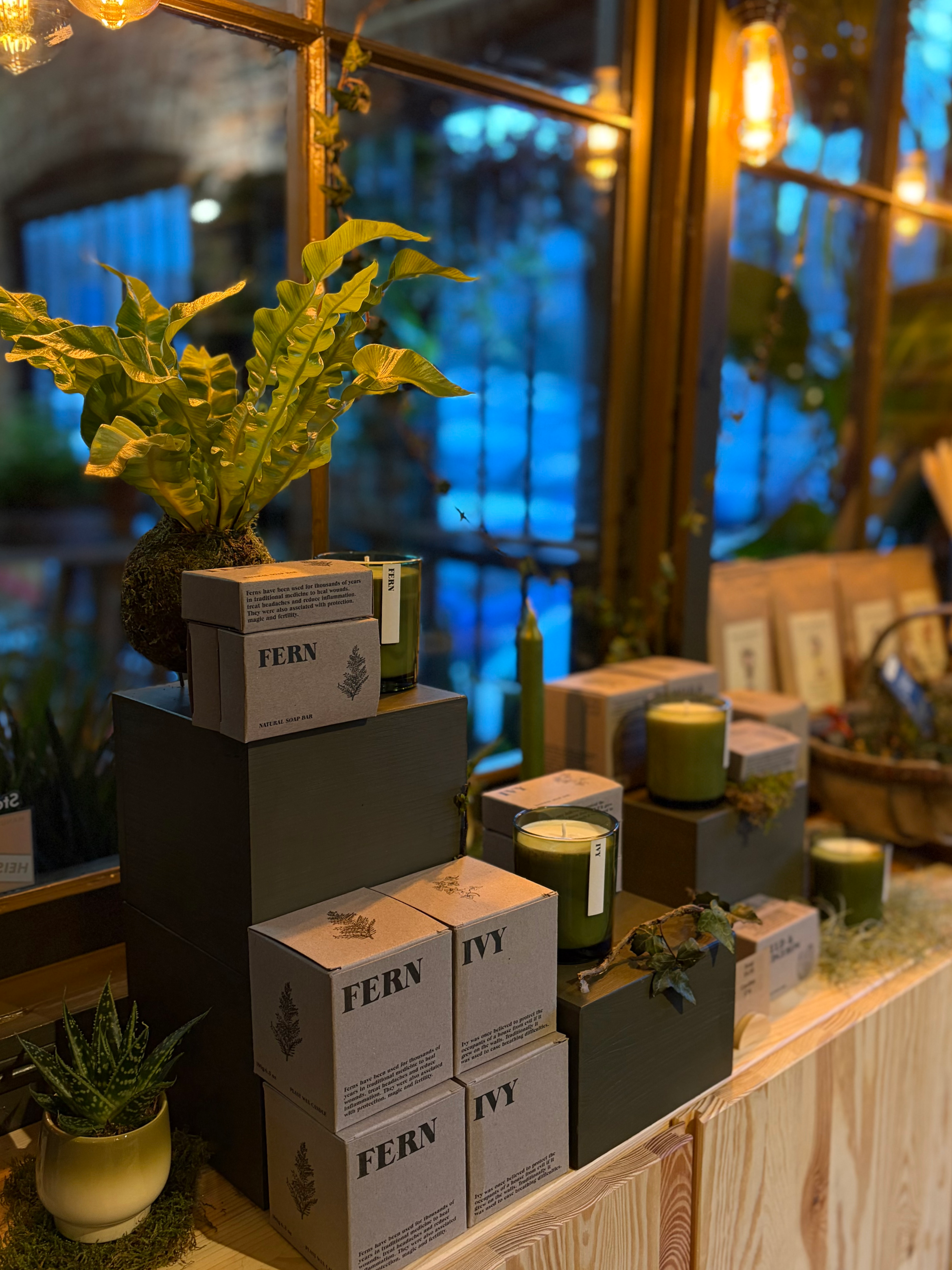 plant shop Lewes houseplants Lewes / East Sussex indoor plants Lewes curated home goods artisan pantry items perfumes and soaps Lewes gifts Lewes Needlemakers