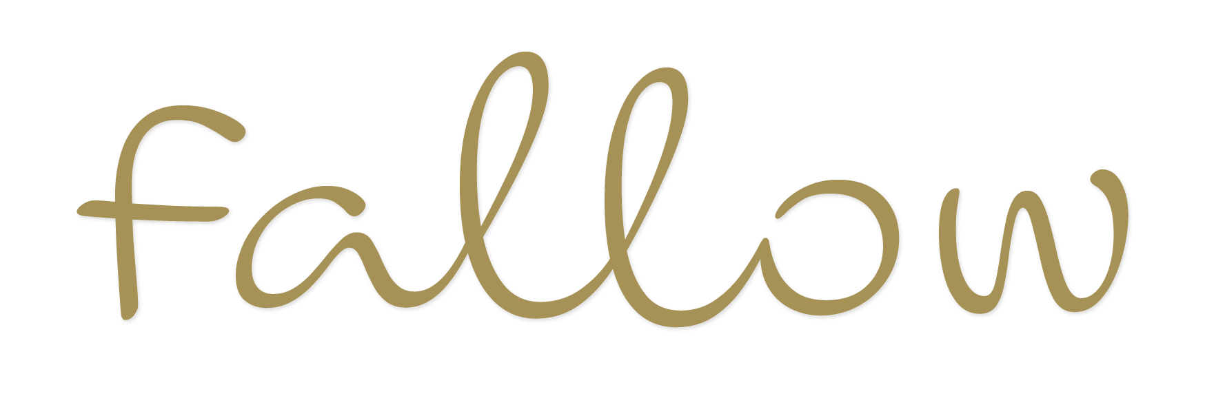 plant shop Lewes houseplants Lewes / East Sussex indoor plants Lewes curated home goods artisan pantry items perfumes and soaps Lewes gifts Lewes Needlemakers