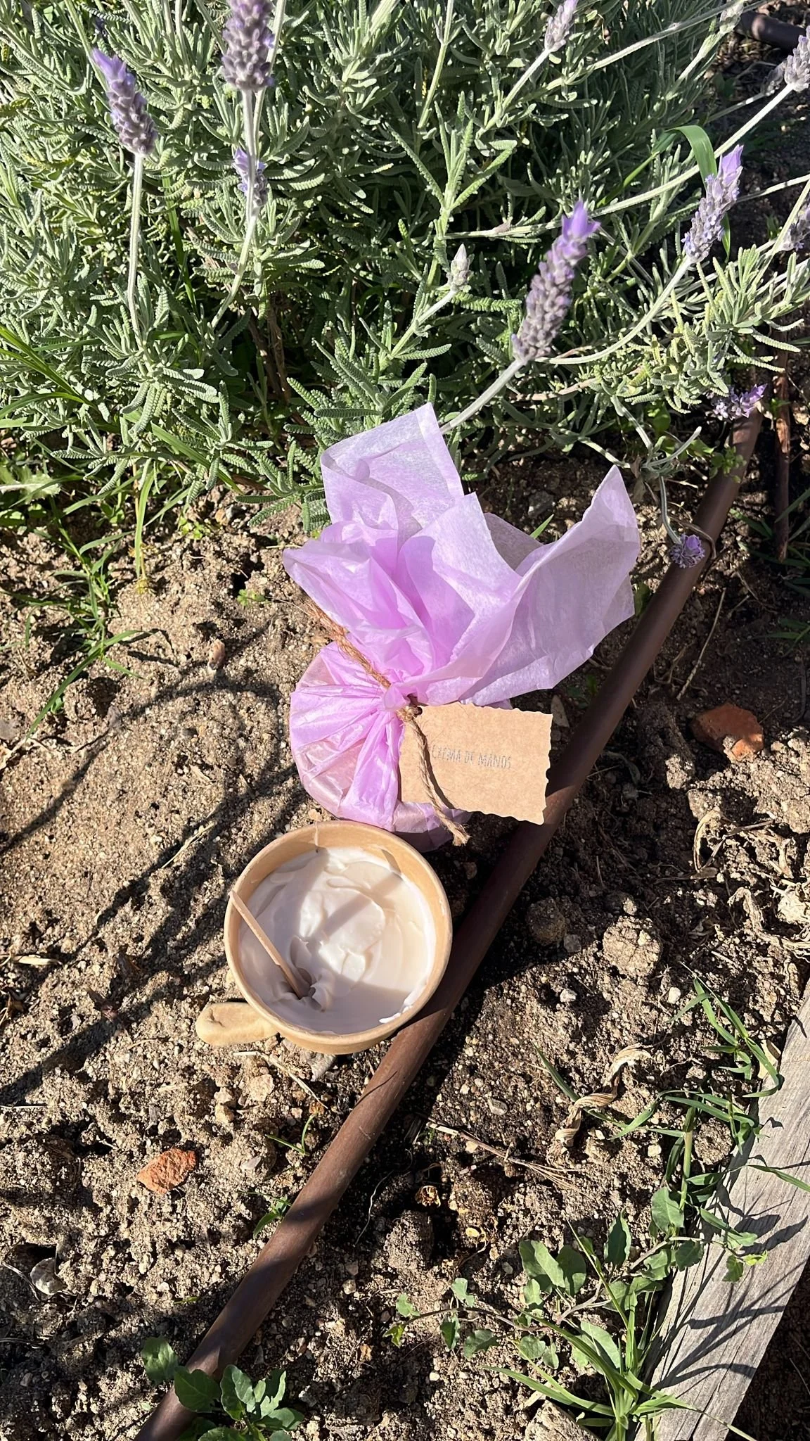 crema-de-manos-lavanda-1.jpeg