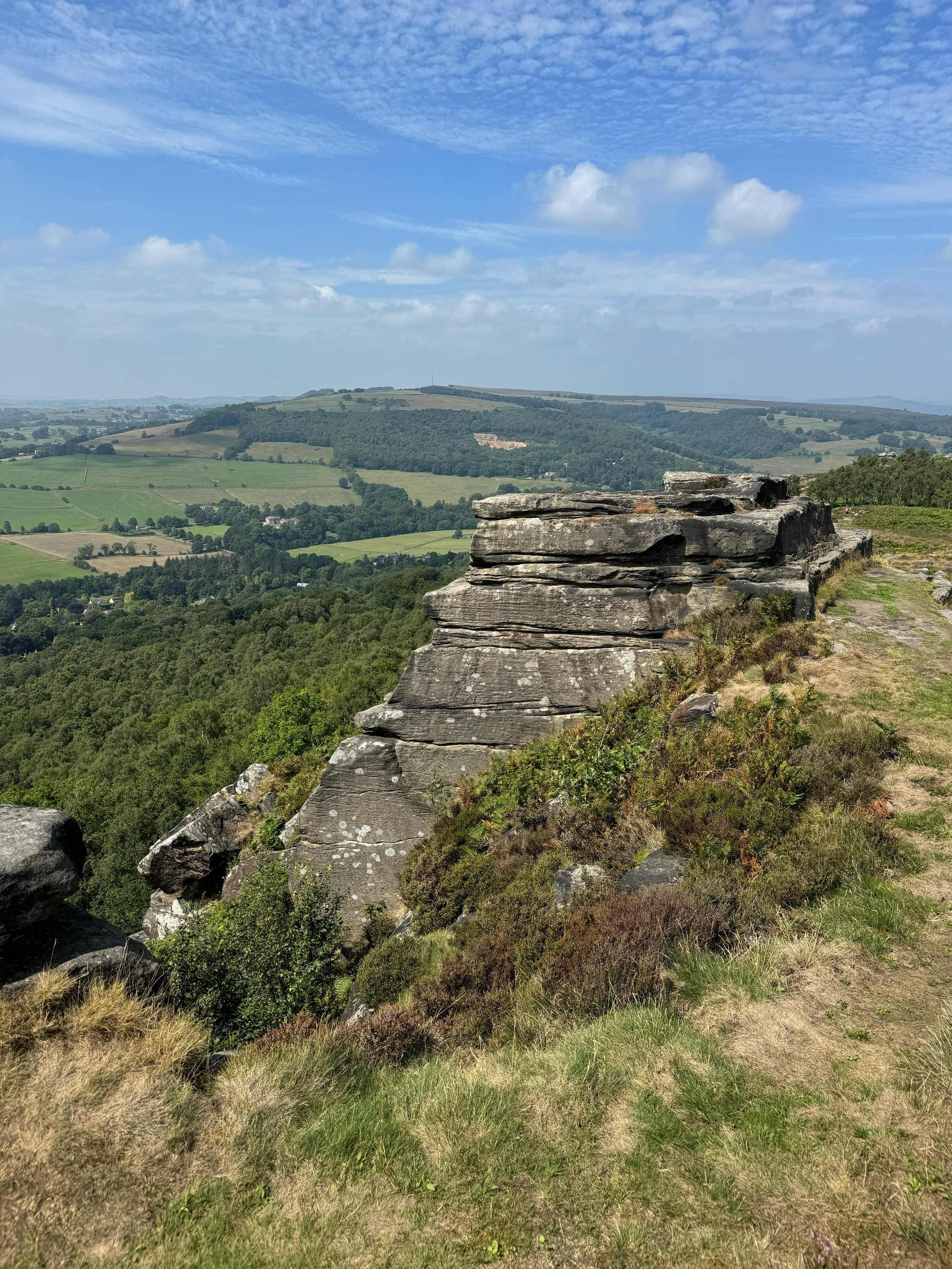 Scenic view of rolling green hills and fields with scattered trees, under a partly cloudy blue sky, with a rock formation in the foreground.