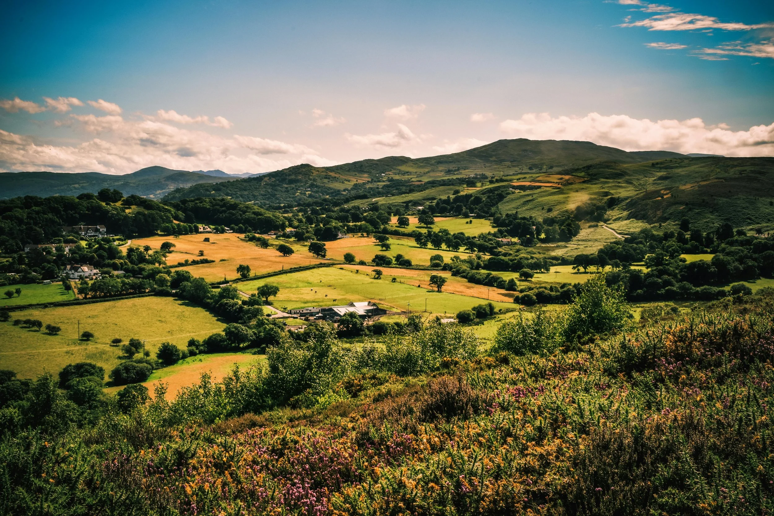 Scenic view of rolling green hills, scattered trees, and a few houses under a partly cloudy sky.