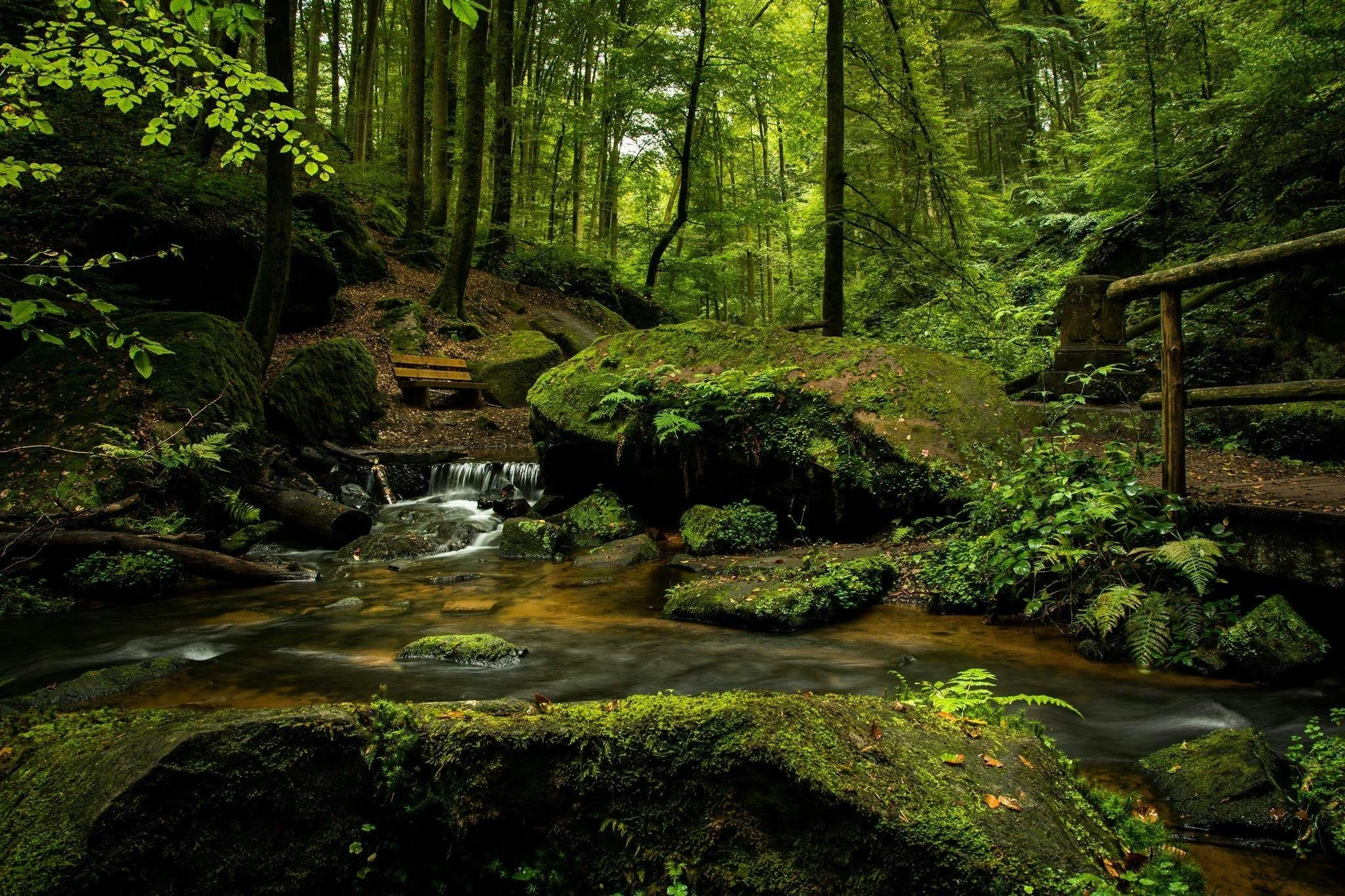 A lush green forest with tall trees, moss-covered rocks, a small wooden bench, and a flowing stream.