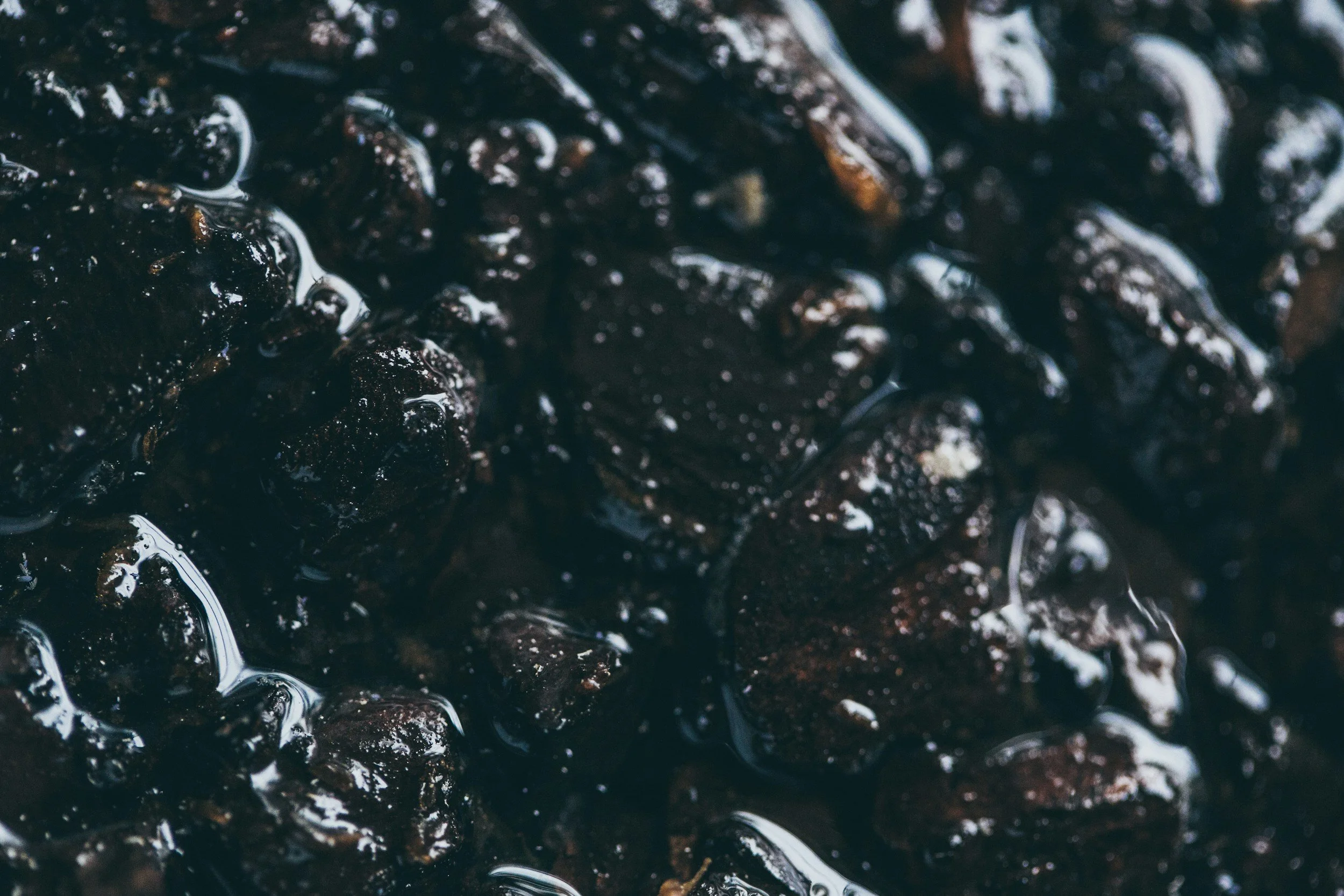 Close-up of wet, dark, glossy black stones or pebbles with reflections of water on their surface.