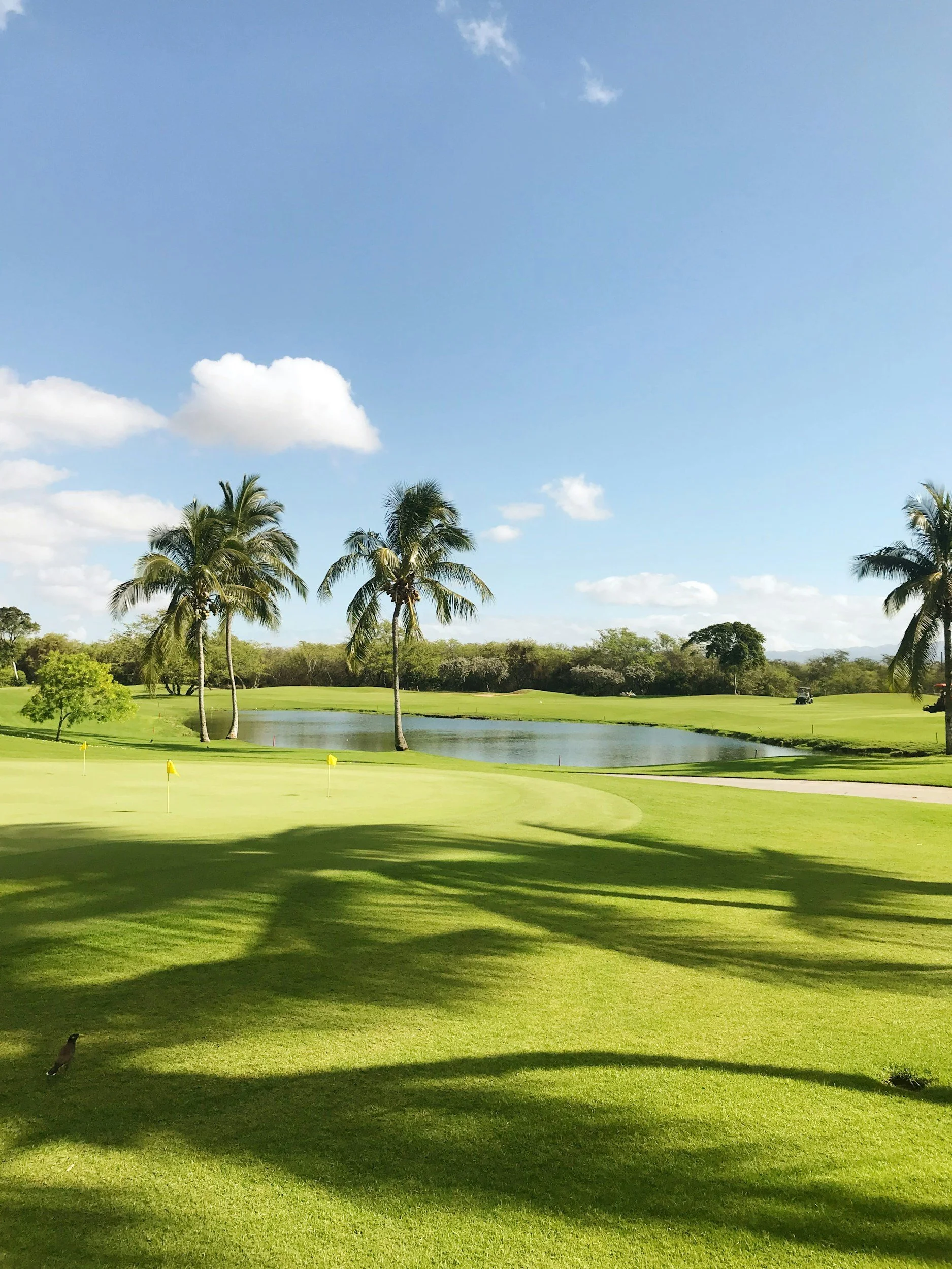 A scenic view of a golf course with lush green grass, several palm trees, a small pond, and a bright blue sky with scattered clouds.