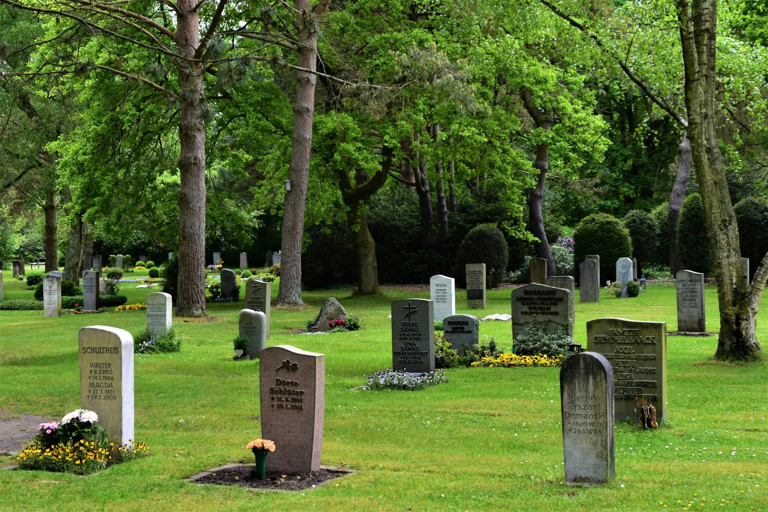 A cemetery with numerous tombstones of varying shapes and sizes surrounded by green grass and tall trees.