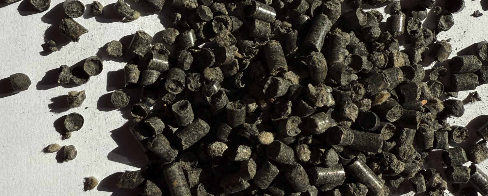 A large pile of used black shotgun shell casings scattered on a white surface.