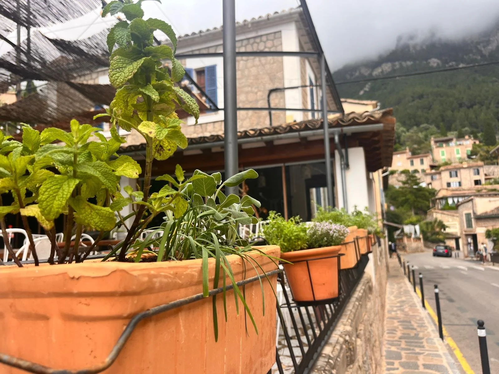 Close-up of potted plants and herbs on a balcony railing in a mountainous town, with buildings and a street in the background.