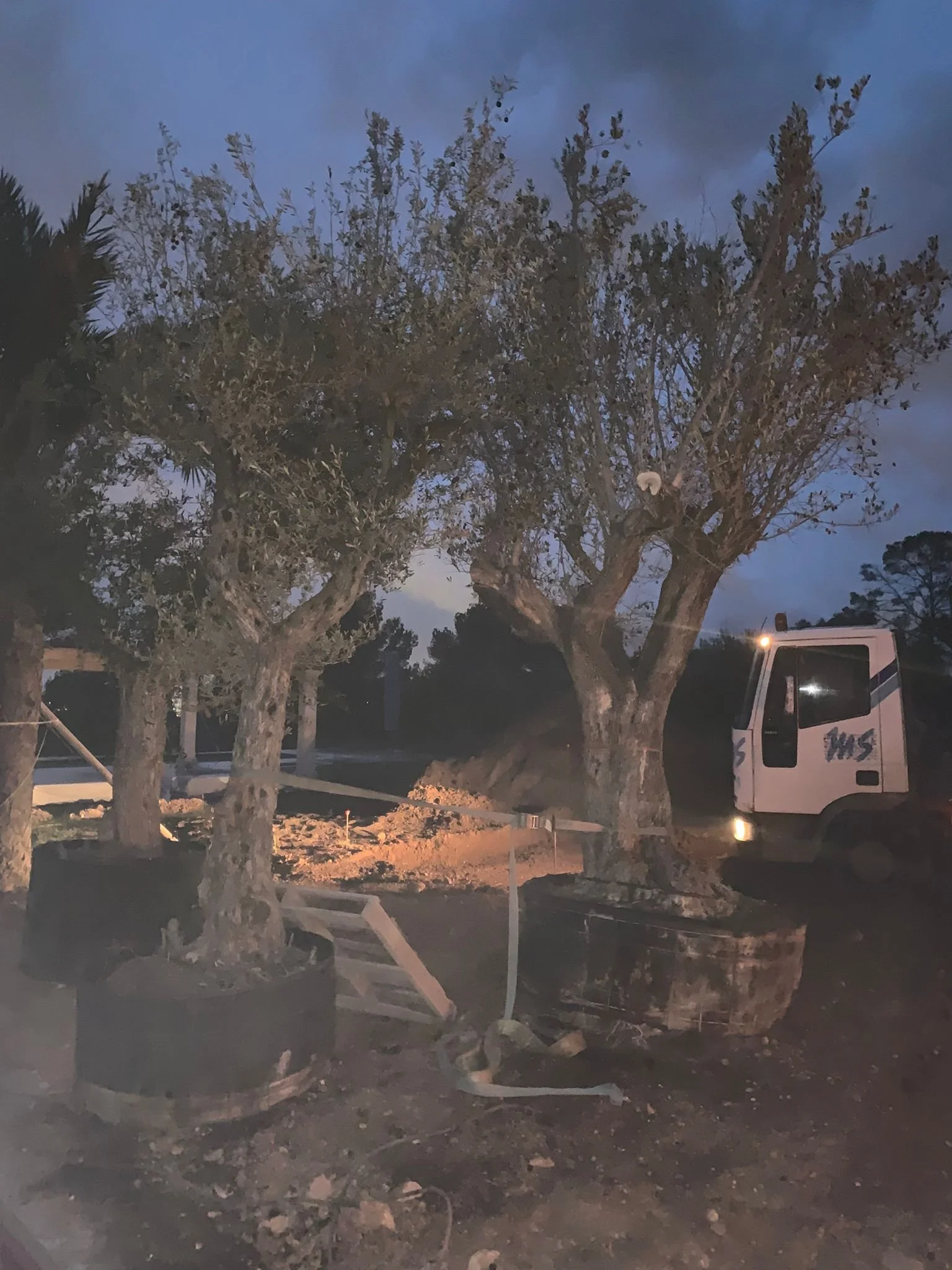 Tree limbs have fallen onto a vehicle, damaging it, in a construction area at dusk.