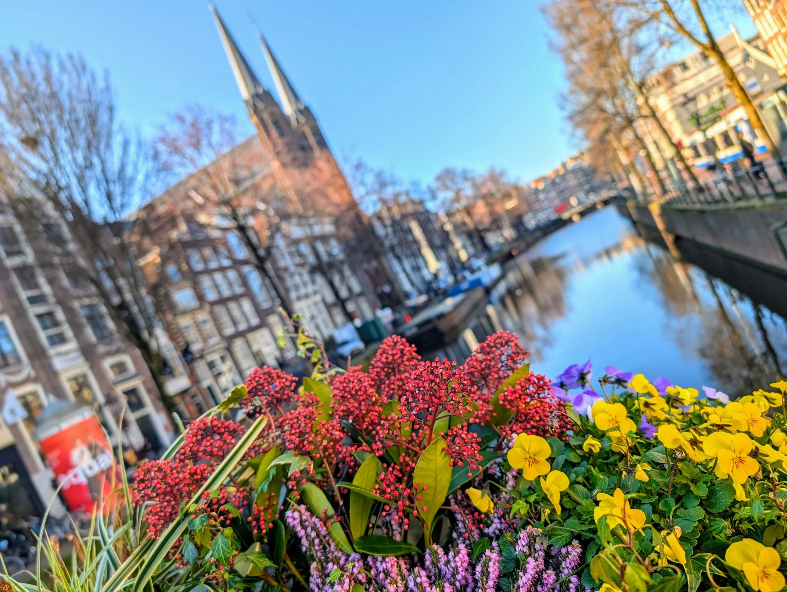Colorful flowers including yellow, purple, and pink blooms along a canal with historic European buildings and a church with twin steeples in the background under a clear blue sky.