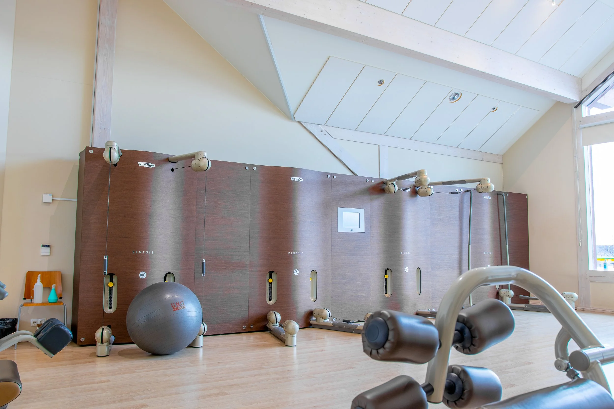 Interior of a gym with fitness equipment including a large exercise ball, machines, and a wall with various structures, in a bright space with large windows and wood flooring.