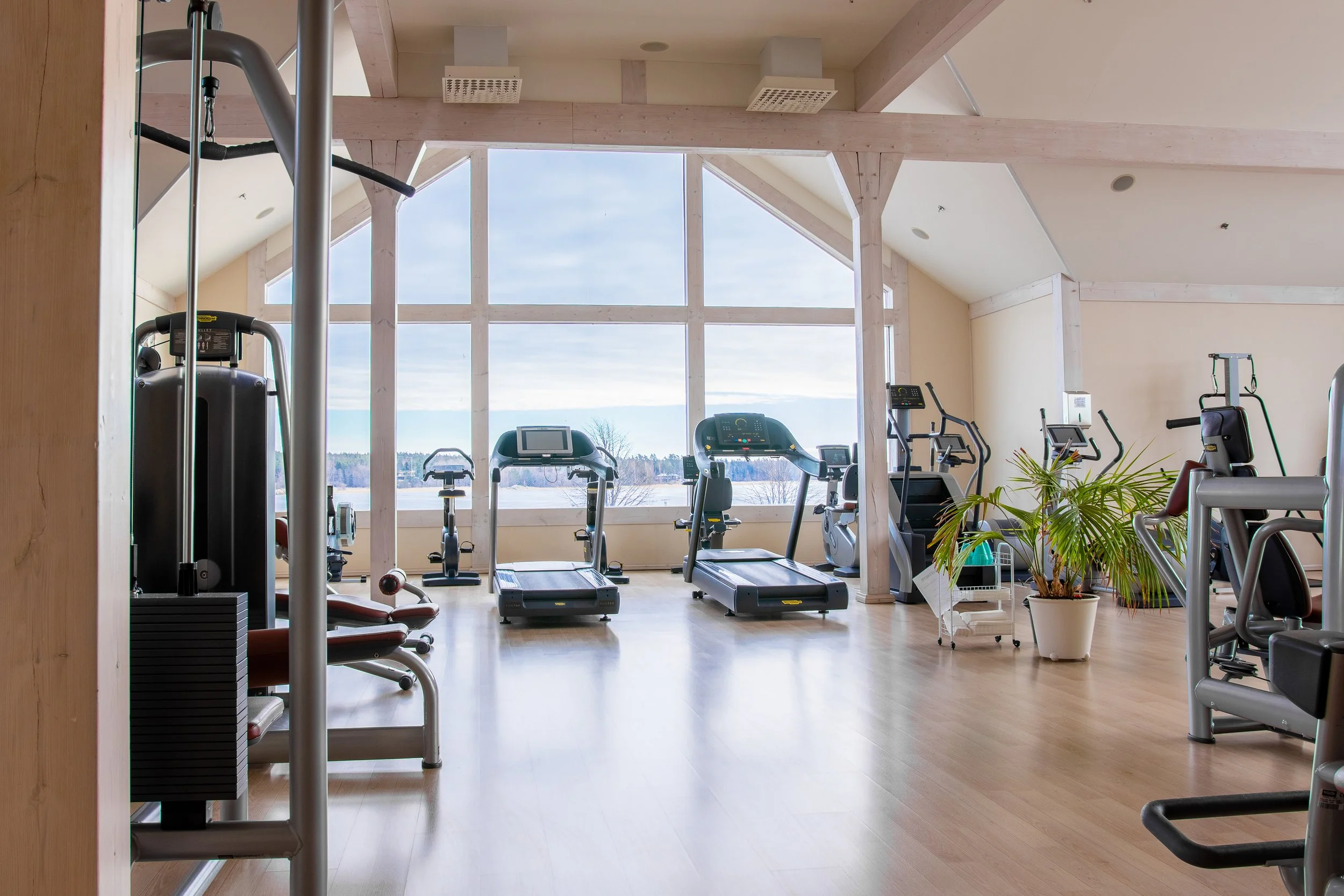Exercise room with large windows, treadmill, elliptical, and other gym equipment, along with a potted plant, in a bright space with wood floors and beams.
