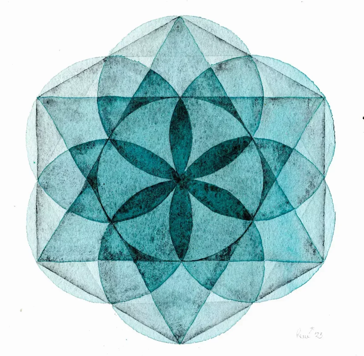 Small Practices, Profound Peace
