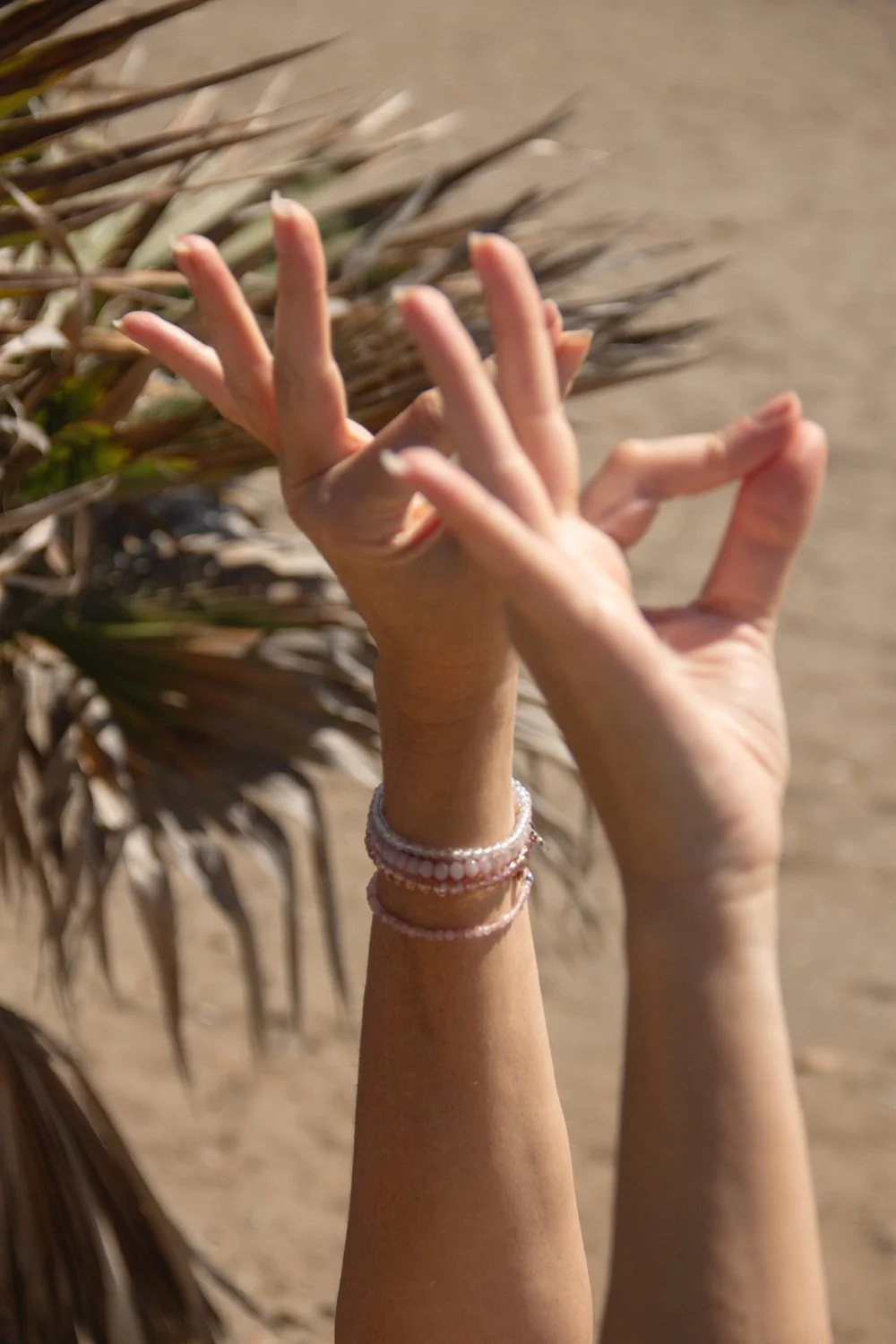 Two hands making a gesture near a plant with spiky leaves, on a sandy background.
