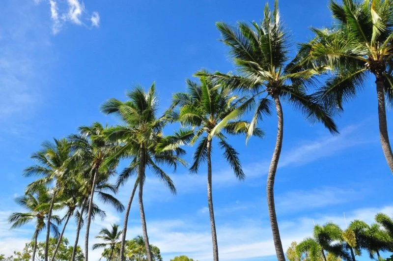 magnetic-island-kiedy-przyjechac-na-wyspe