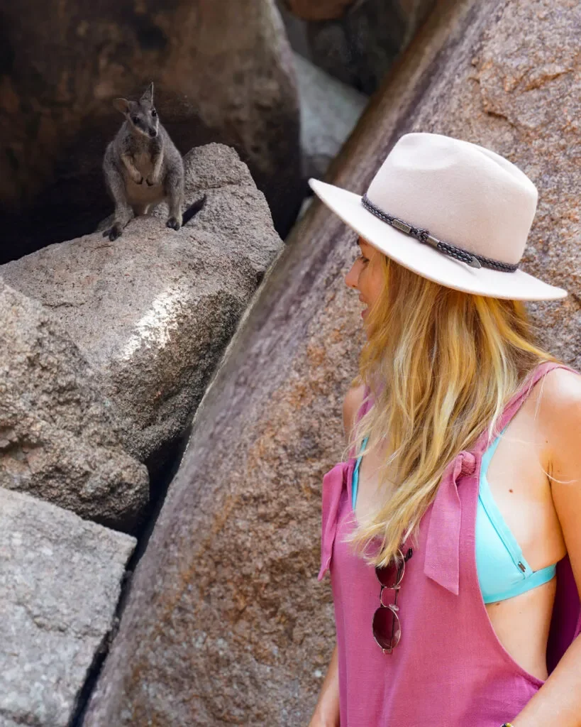 Magnetic Island – atrakcje, noclegi, ceny i praktyczne porady