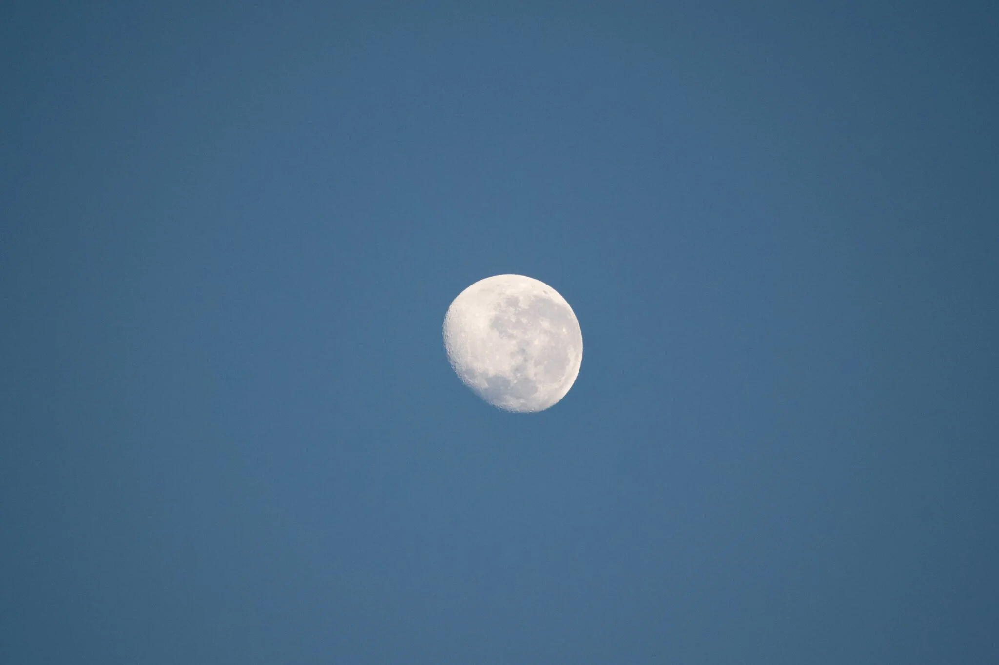 DSC_0049-2048x1365.jpg