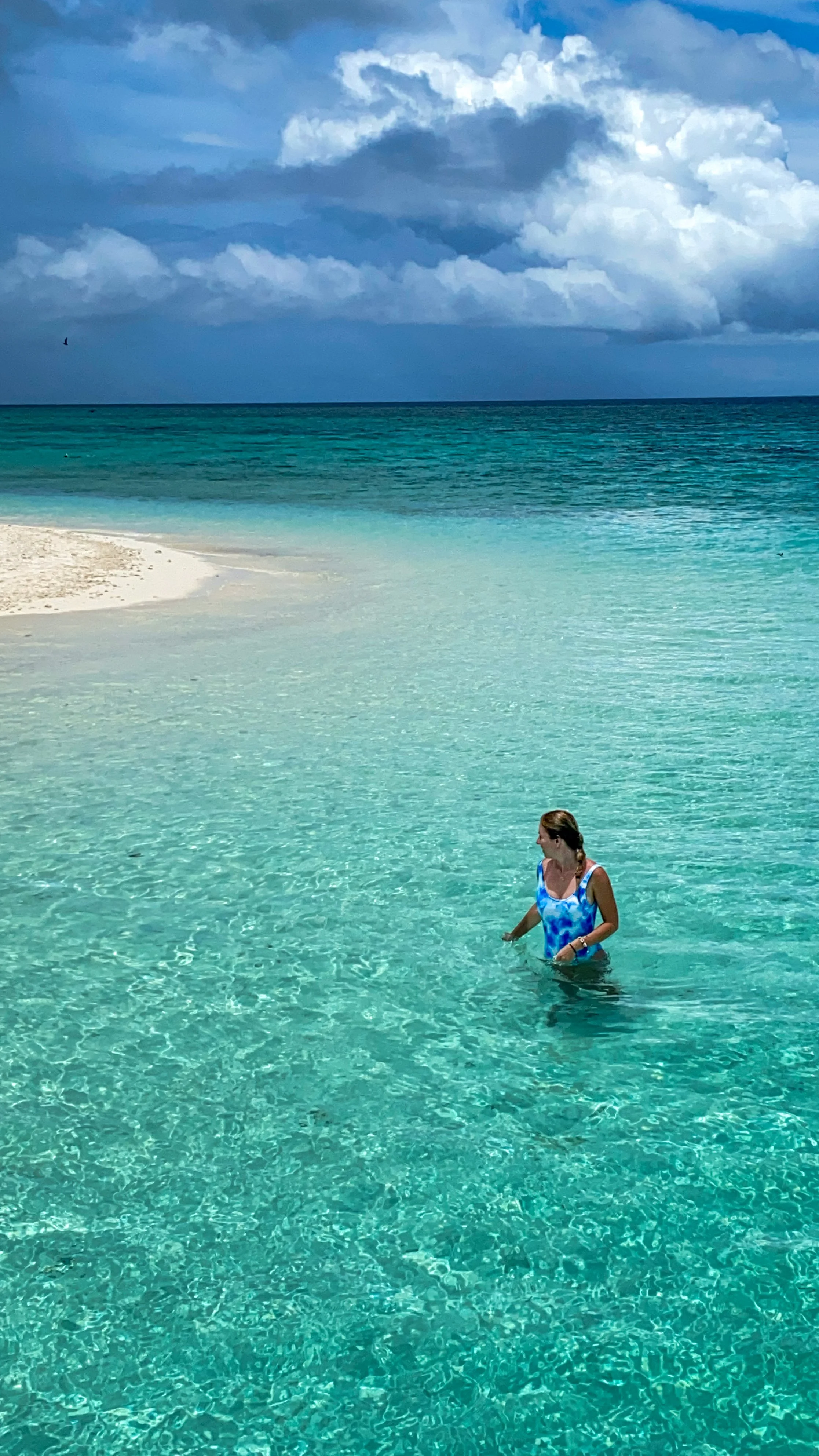 heron island wyspa tropikalna australia blog podrozniczy