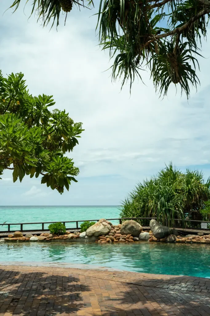 heron-island-australia-atrakce.webp