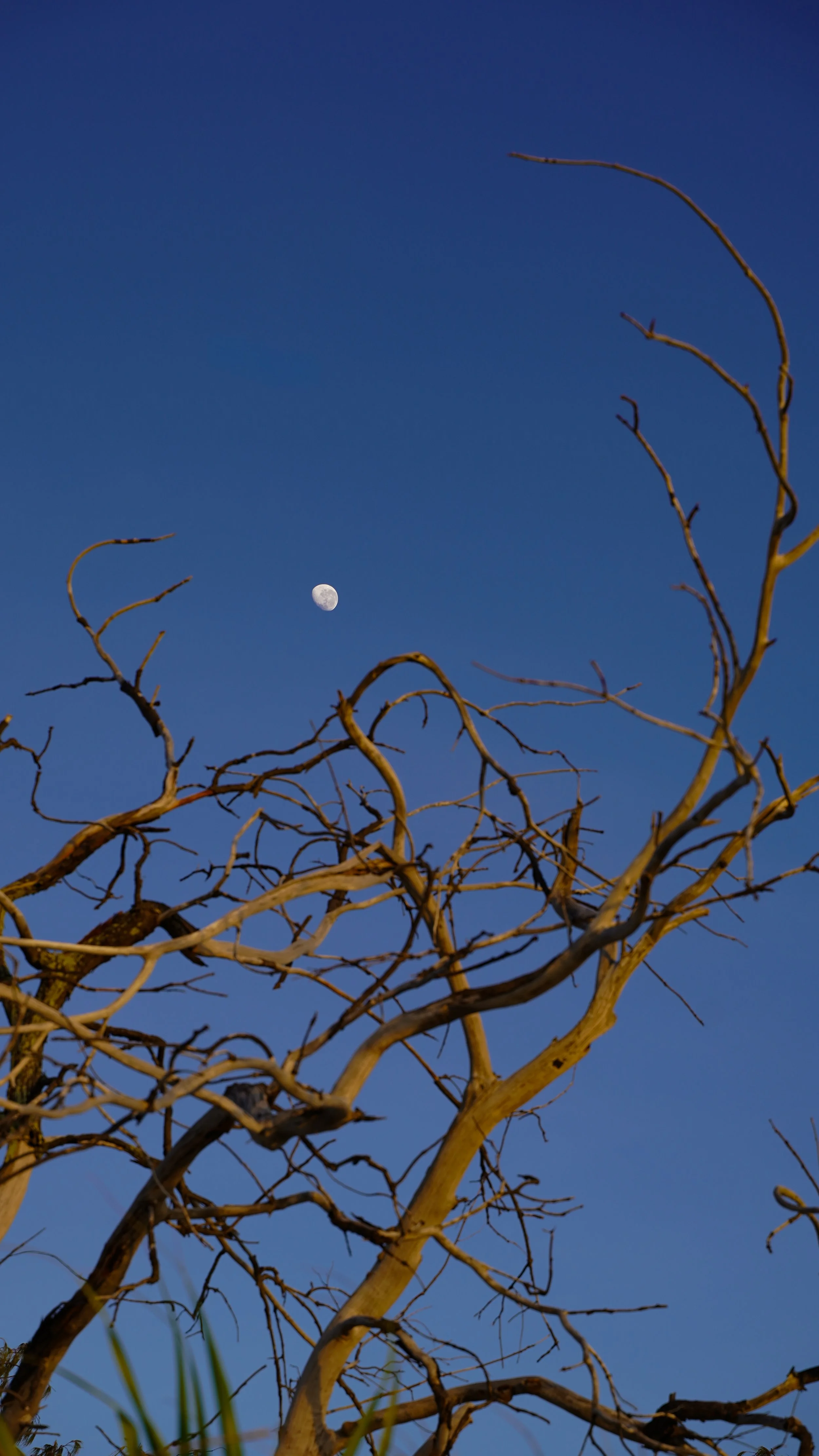 heron-island-zachod-słonca-australia-atrakcje.JPG