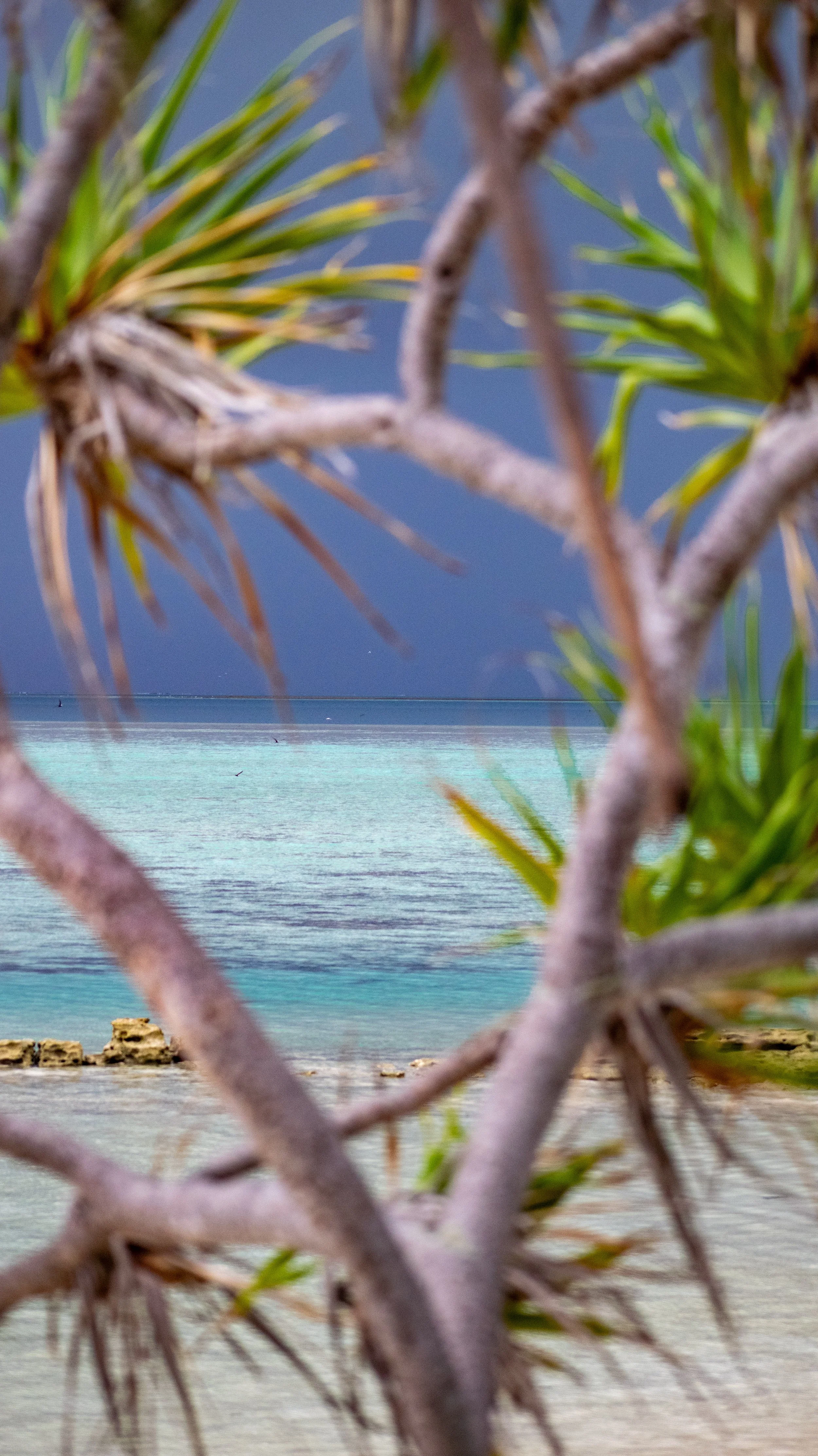 DSC_0042 2.JPG