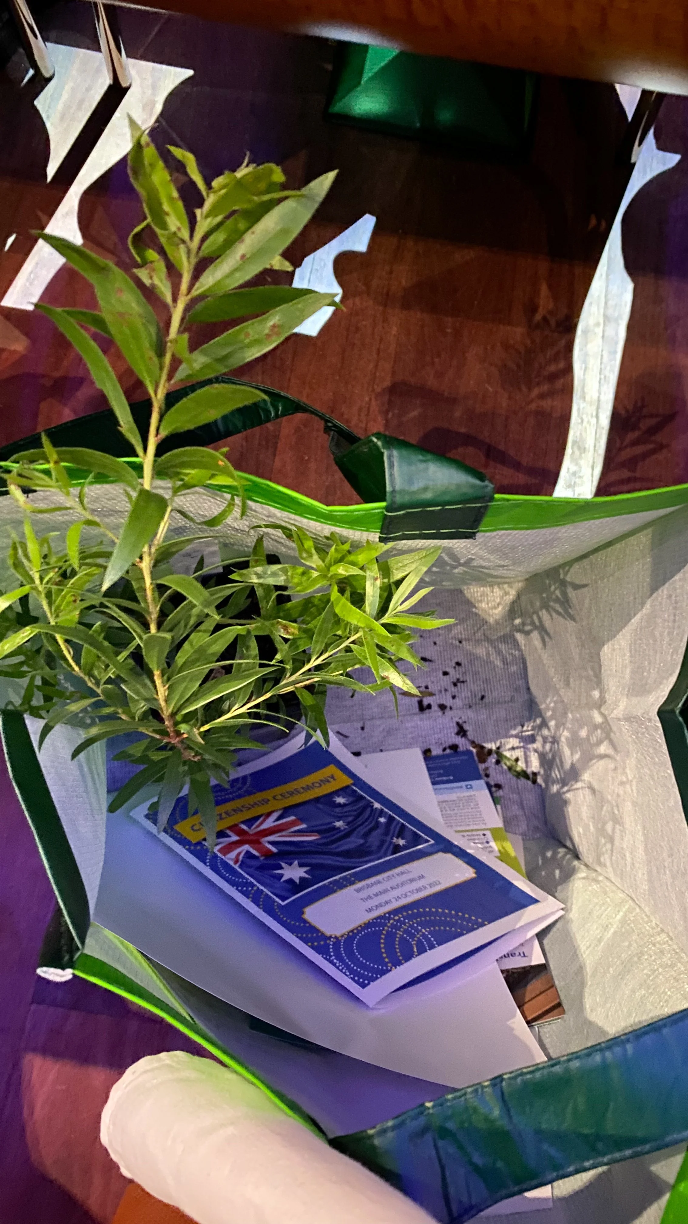 australijskie obywatelstwo.JPG