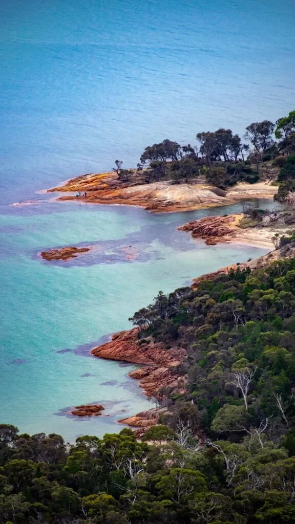 tasmania-przewodnik-kiedy-jechac-576x1024.jpg.webp