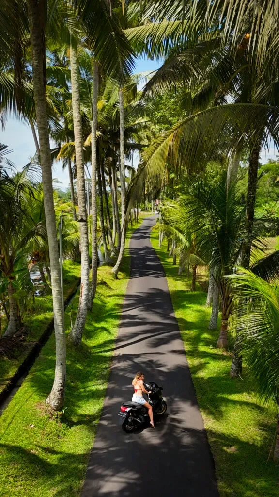 najlepsze-mejsca-na-bali-uliczka-palmowa.webp