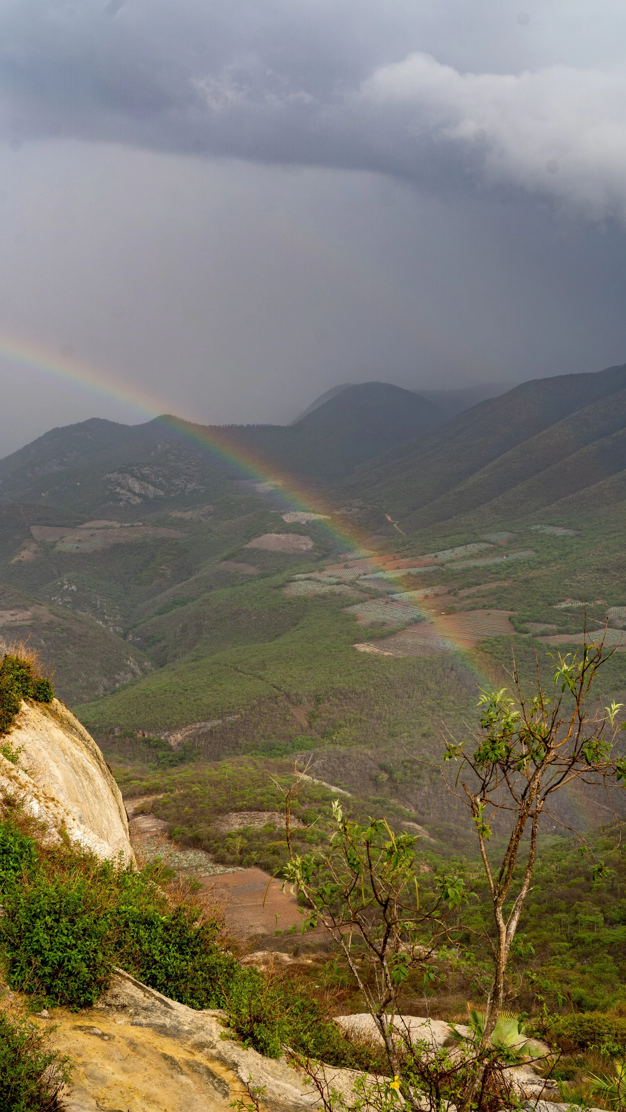 natura w meksyku .JPG