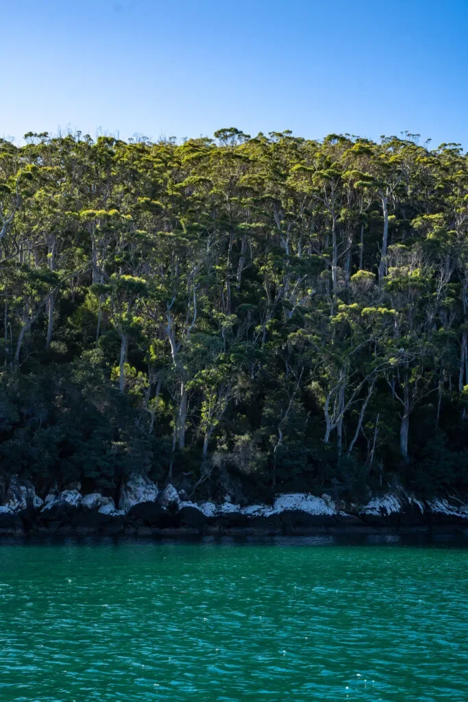 Tasmania. australia blog podróżniczy