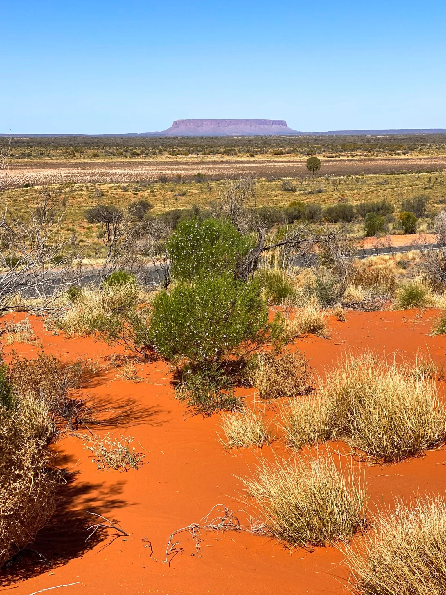 podroz-do-uluru.jpg