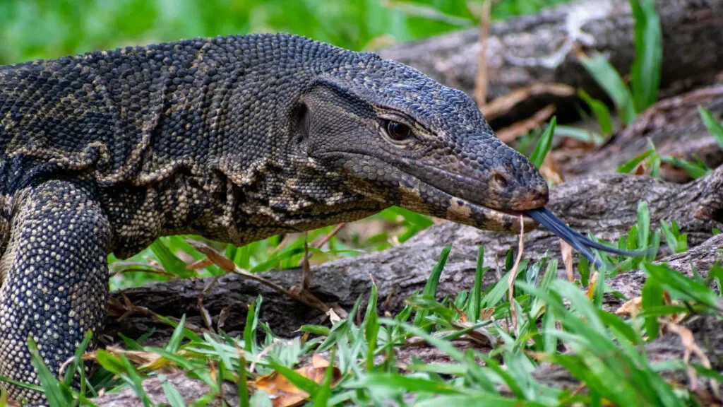 tajlandia-co-warto-wiedziec