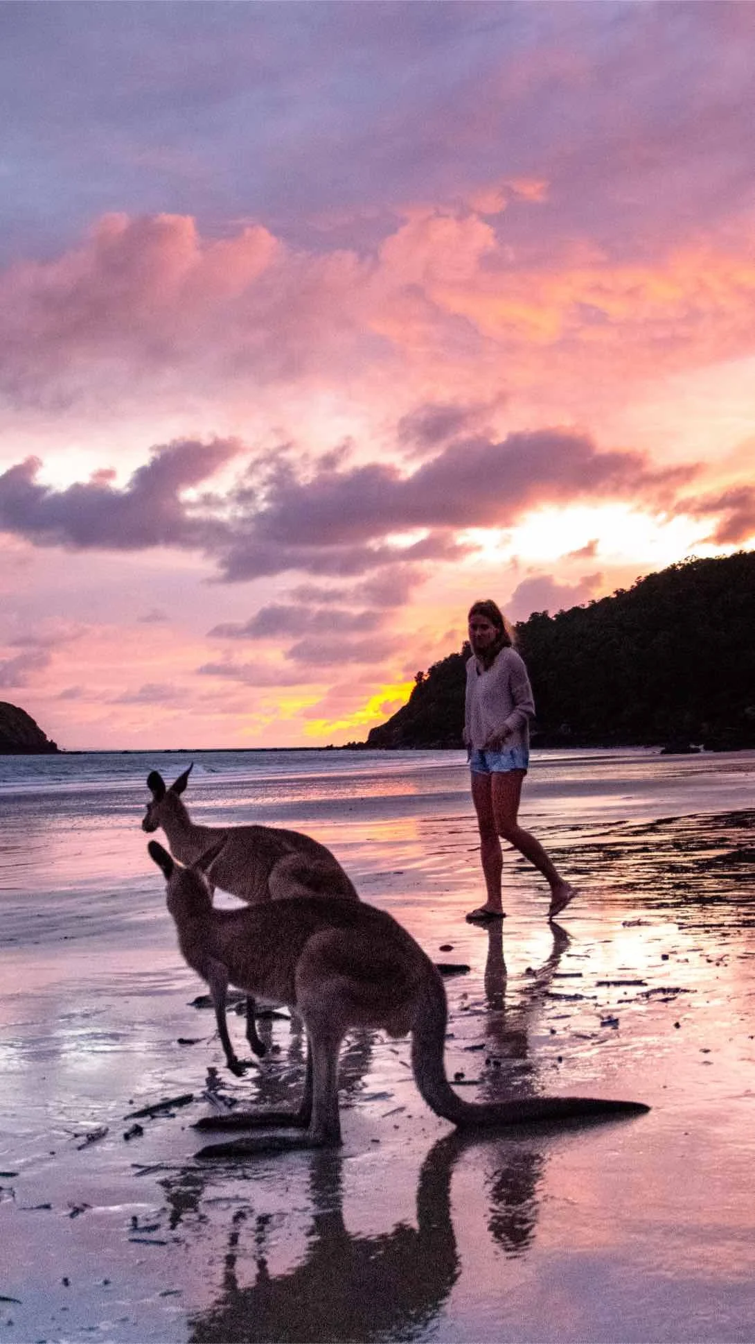 australia-jak-wyjechac-cape-hillsborough