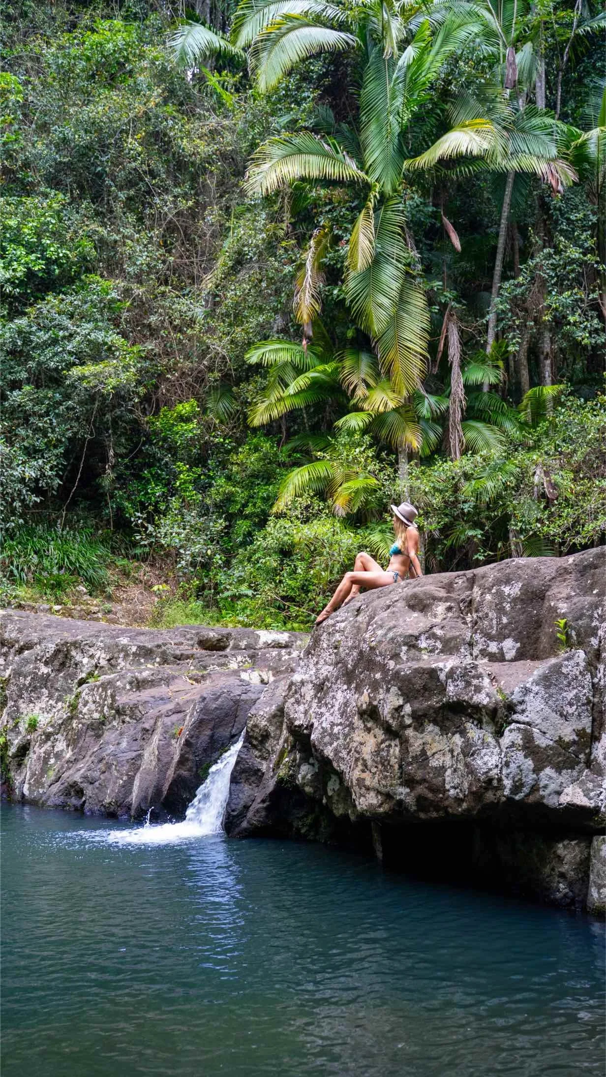 natura-cairns-brisabne-cairns-trasa.jpg