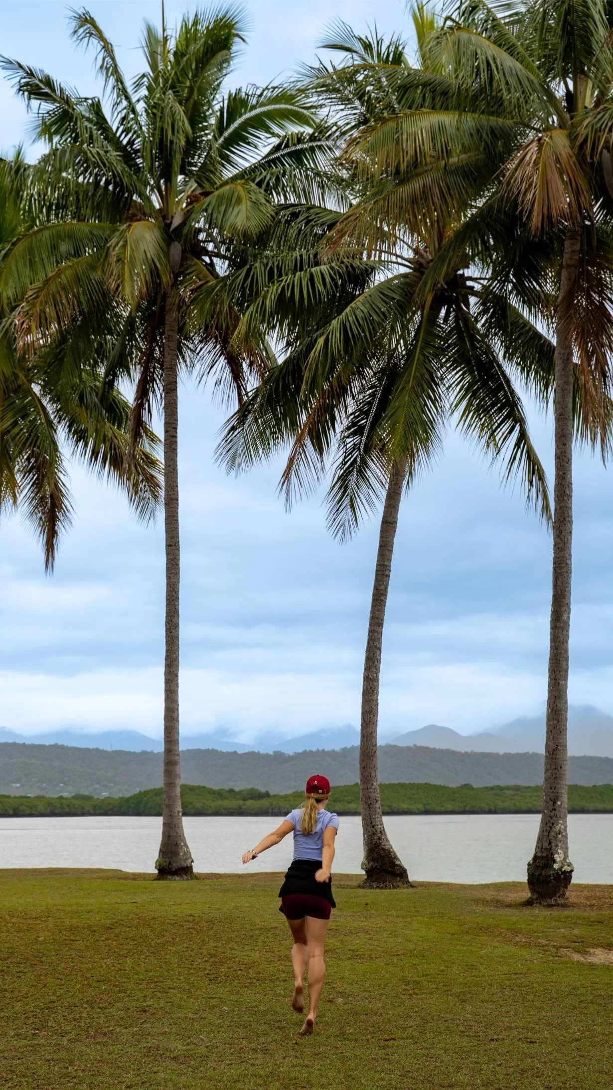 trasa-brisbane-cairns-palm-cove.jpg