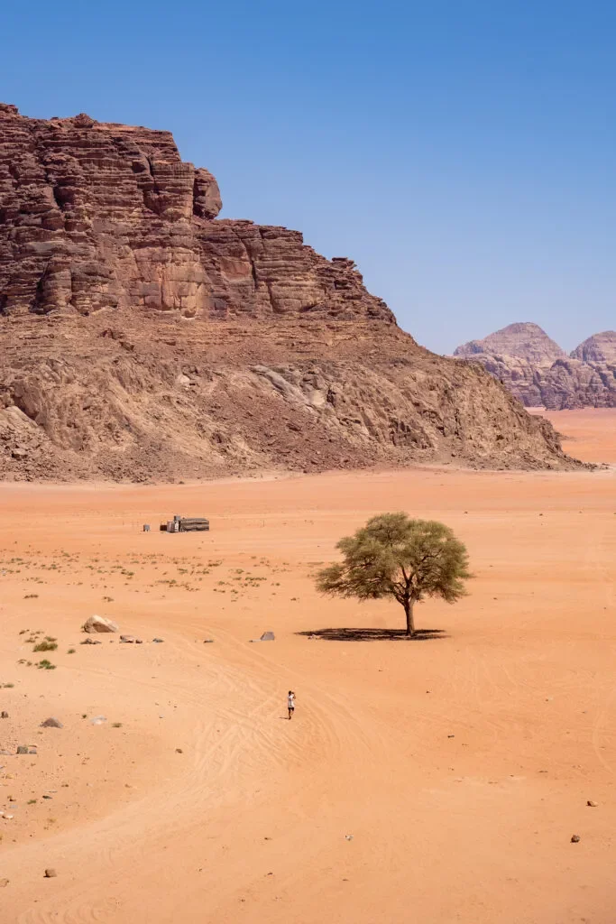 lawrance-of-arabia-wadi-rum-atrakcje.webp