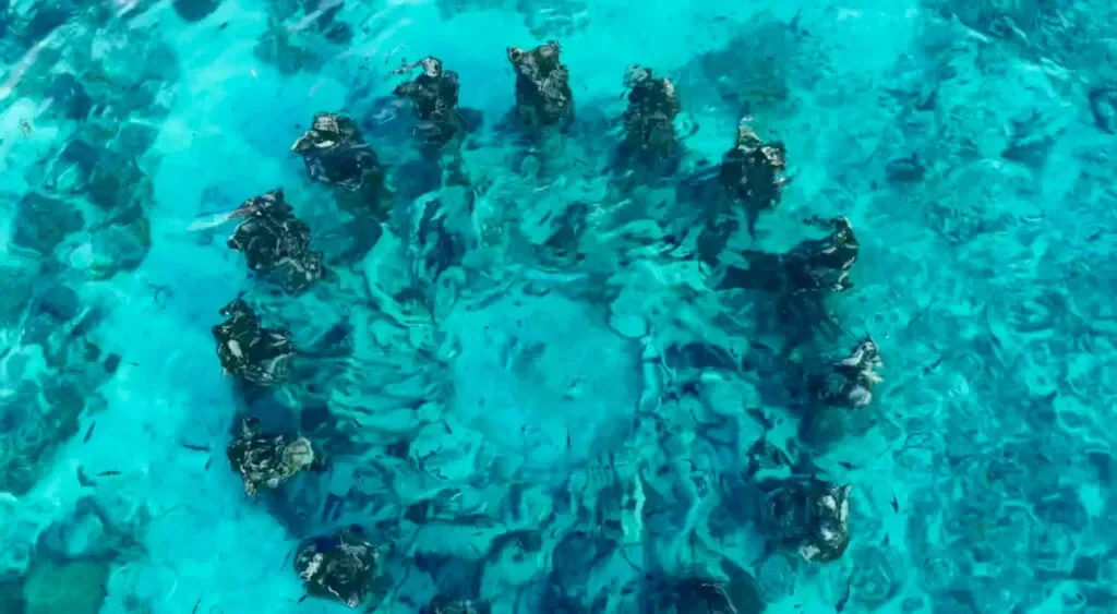 the-nest-gili-meno-figury-pod wodą