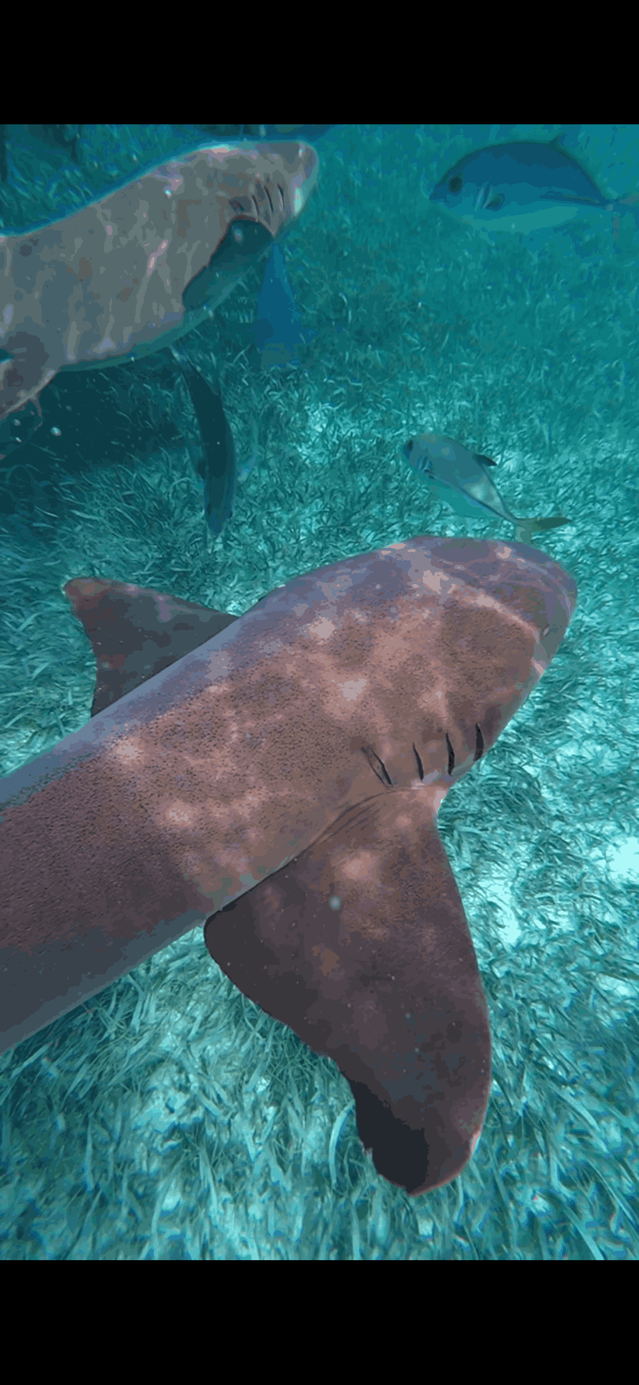 belize-podroz-przez-ameryke-srodkowa.png
