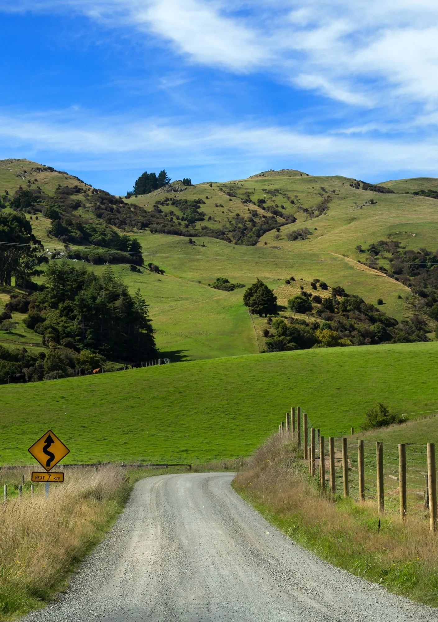 podroz-do-nowej-zeladnii-patrycja-galinska