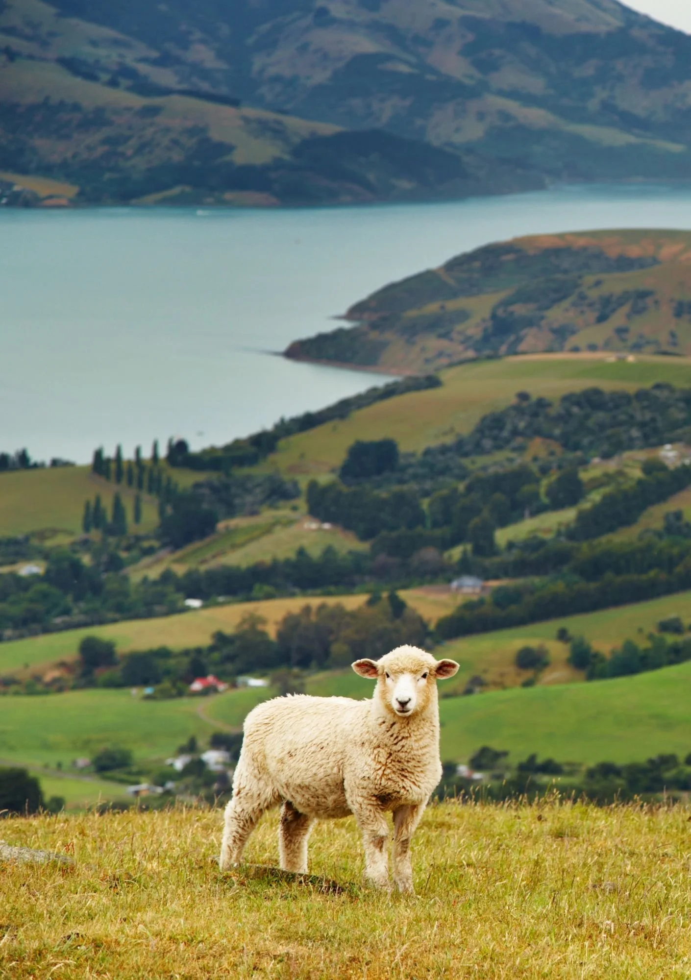 Nowa-Zelandia-informacje-praktyczne