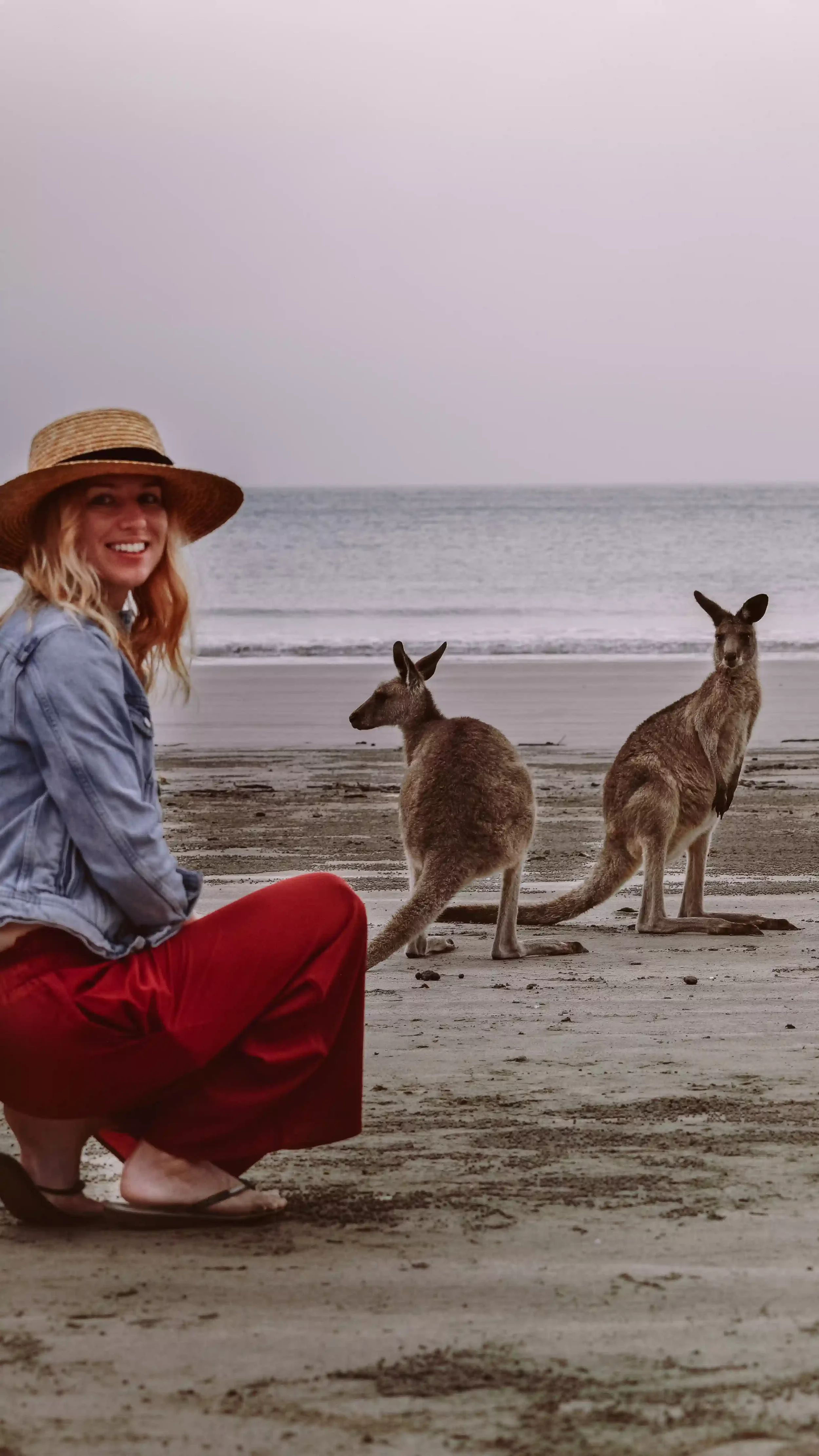 Limit miejsc w programie Work and Holiday Australia dla obywateli Polski