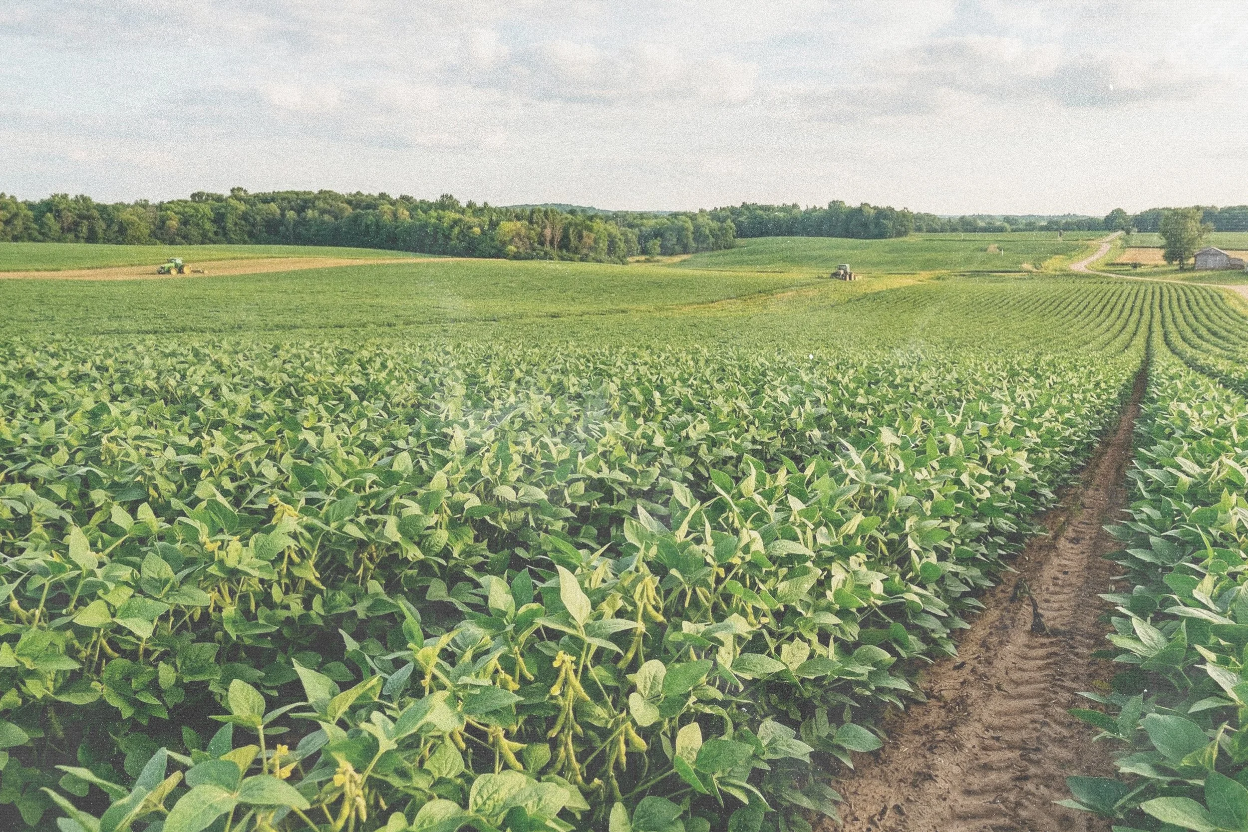 A vast green farmland with rows of crops, tractors working in the field, and a clear sky with some clouds.