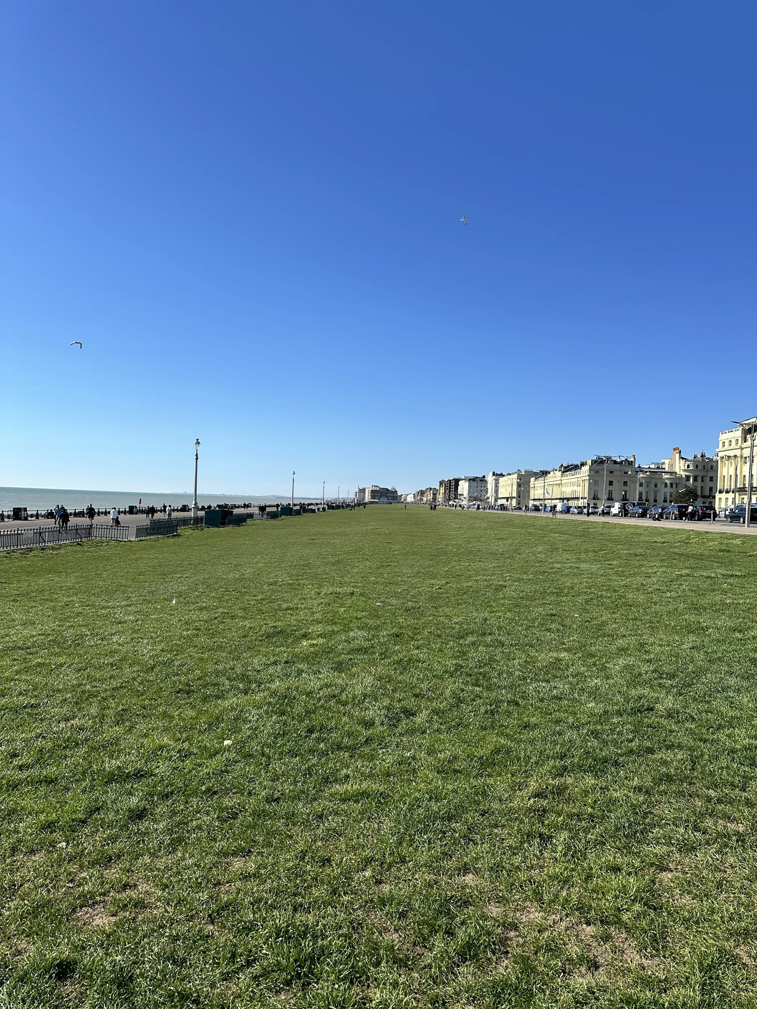 Wide view of Hove Lawns with Regency architecture and the English Channel under a clear blue sky in Brighton.