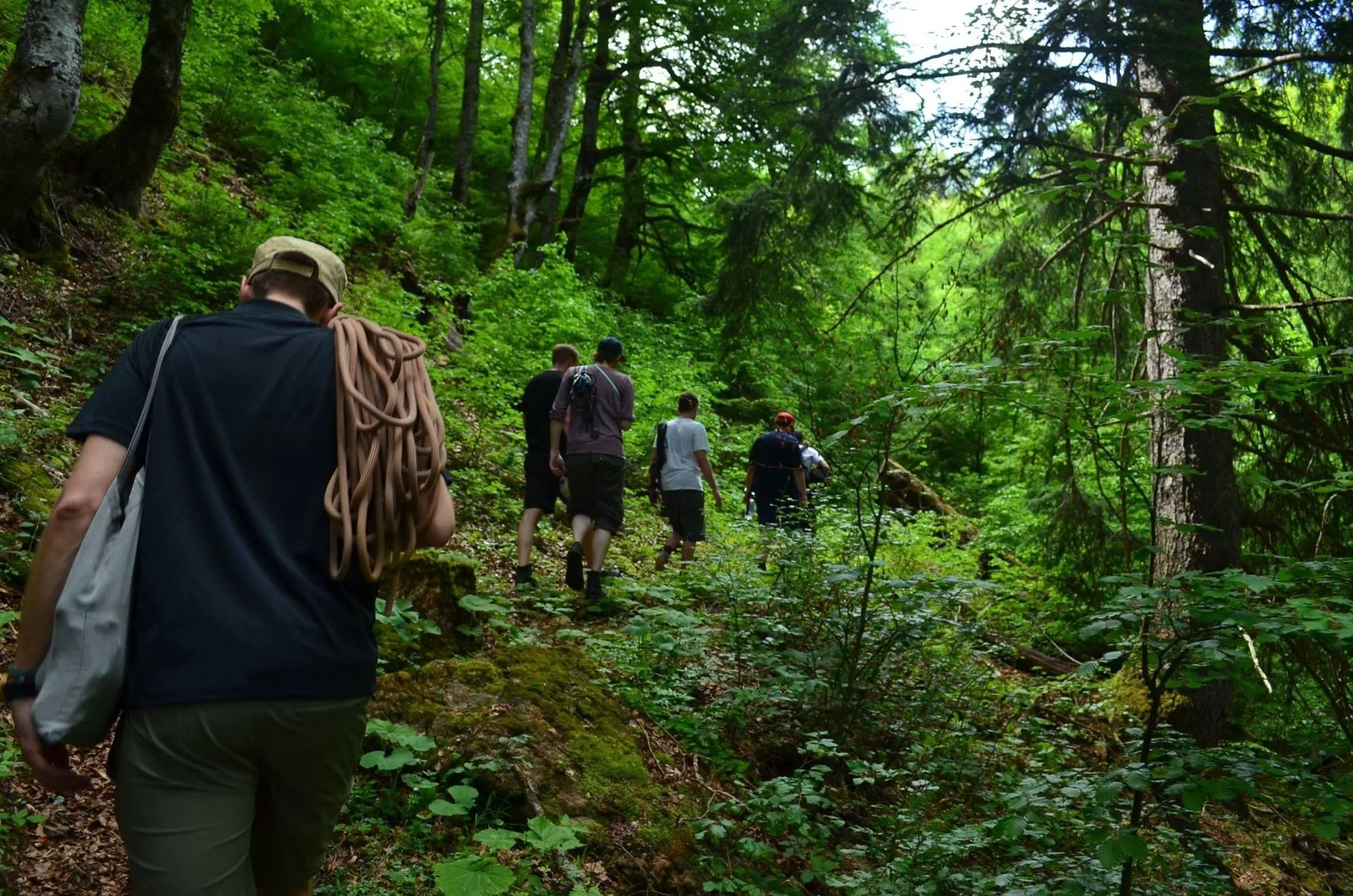 Group of people hiking on a forest trail surrounded by green trees and foliage.